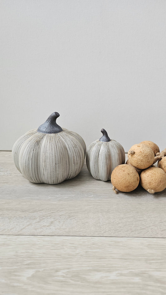 Mini Pumpkins