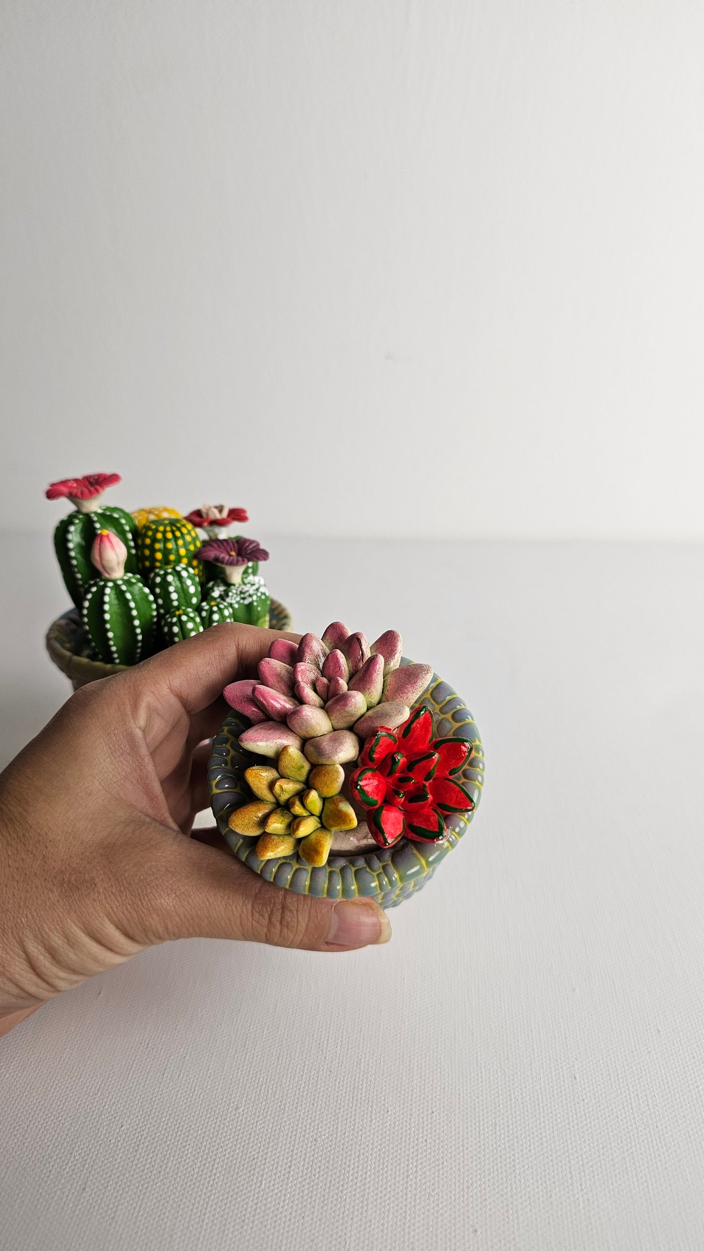 CERAMIC SUCCULENTS WITH POT