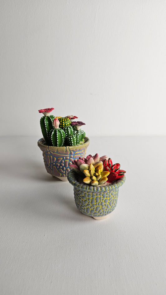 CERAMIC SUCCULENTS WITH POT
