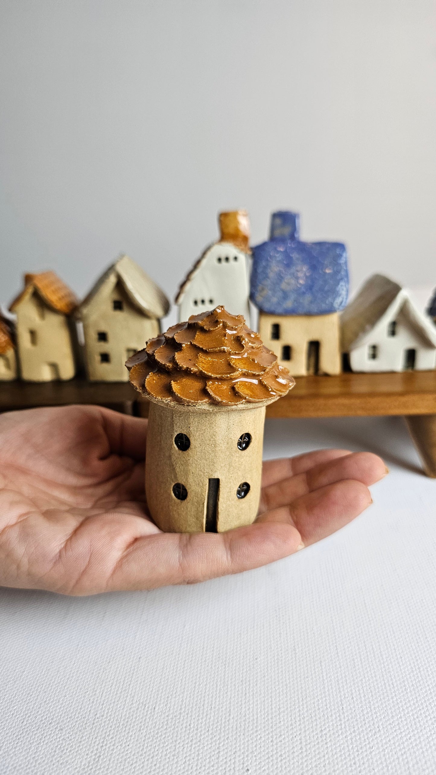 TINY HOMES