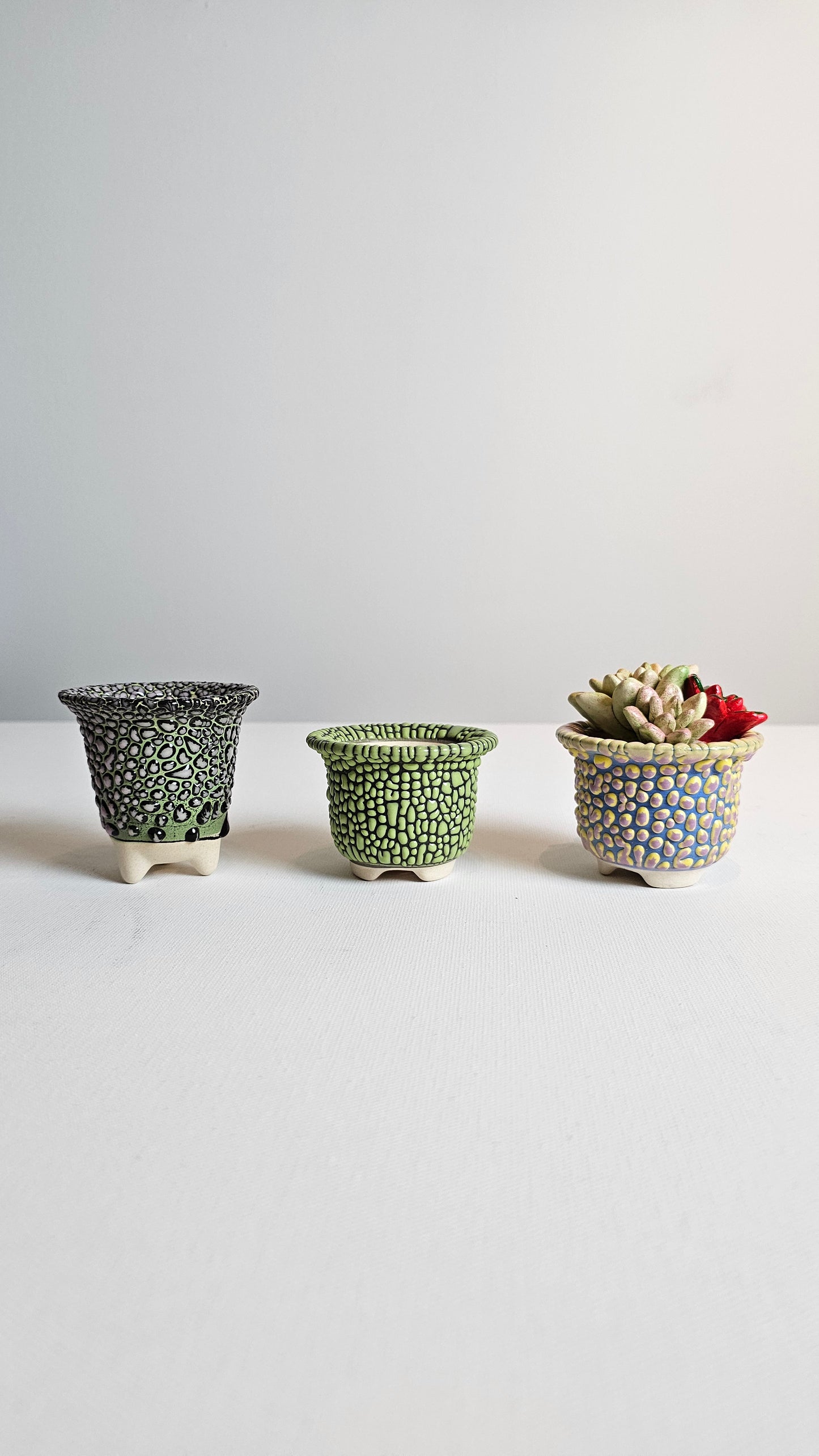 CERAMIC SUCCULENTS WITH POT