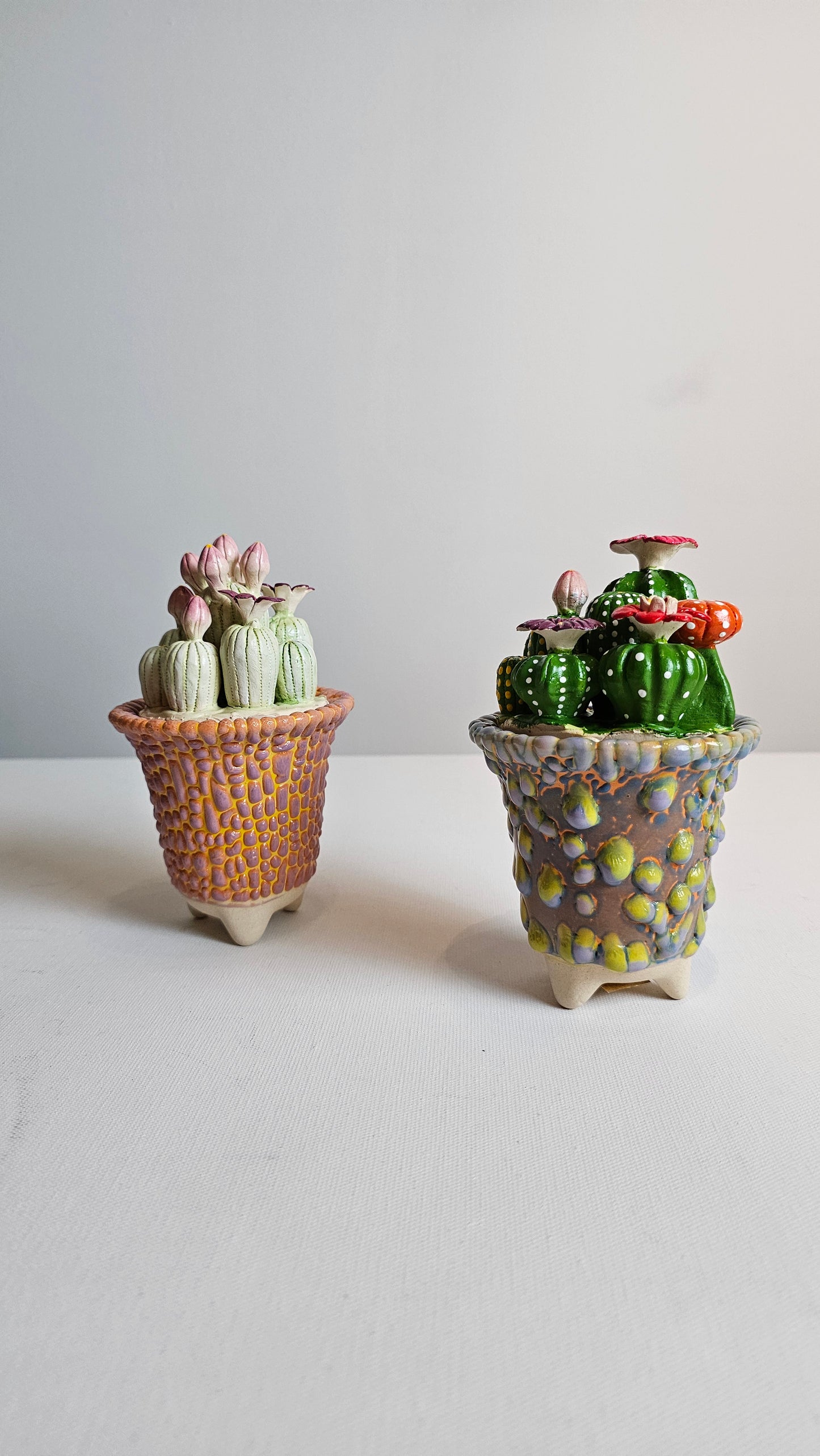 CERAMIC SUCCULENTS WITH POT