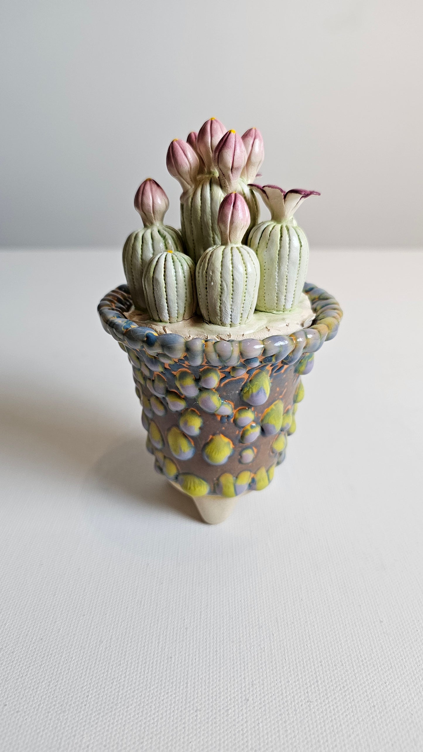 CERAMIC SUCCULENTS WITH POT