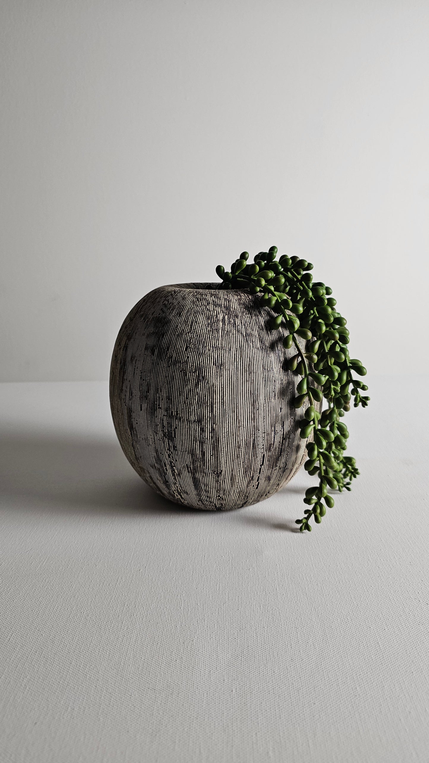 Coconut