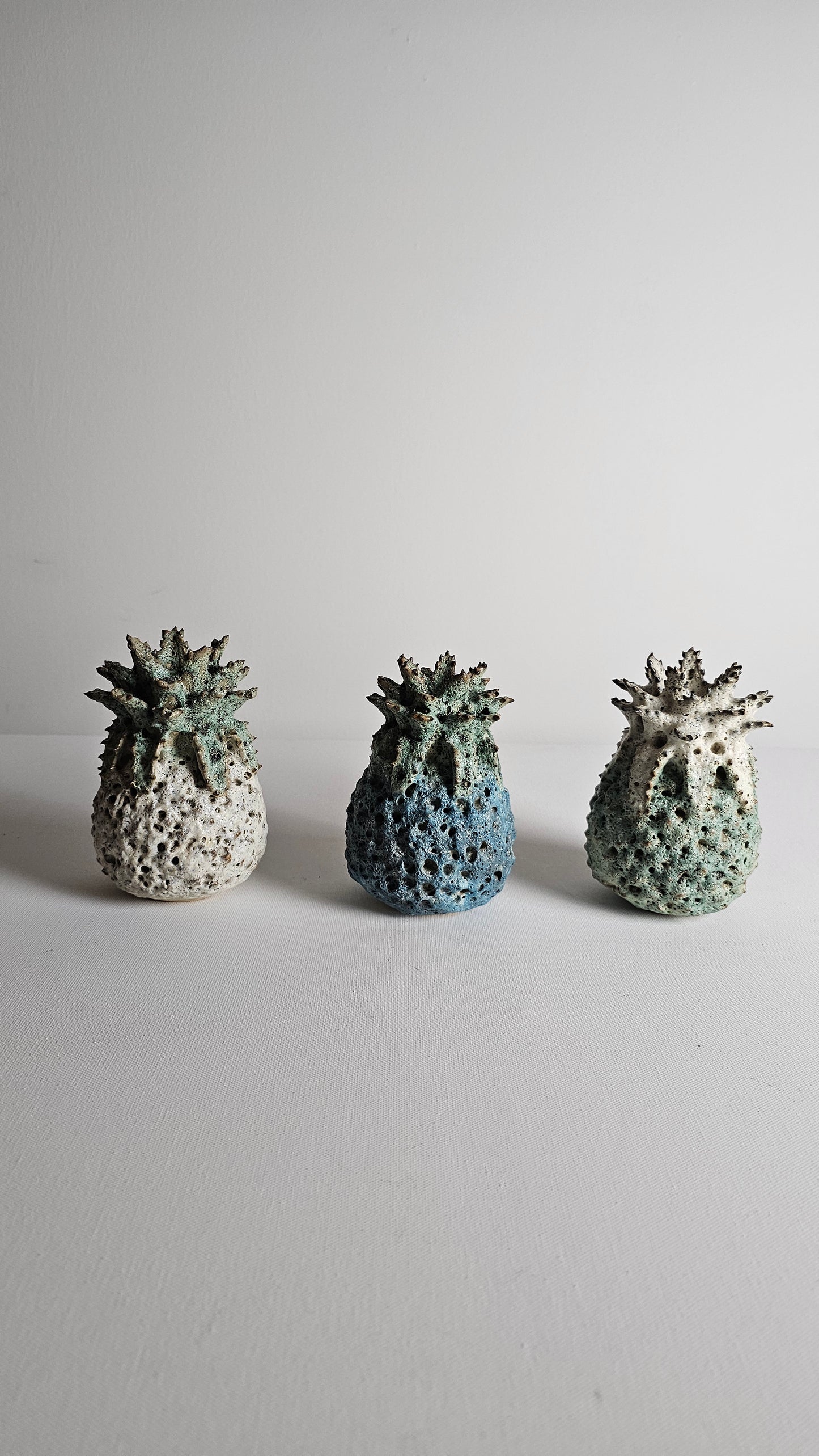 Baby Pineapple / FROTH FINISH
