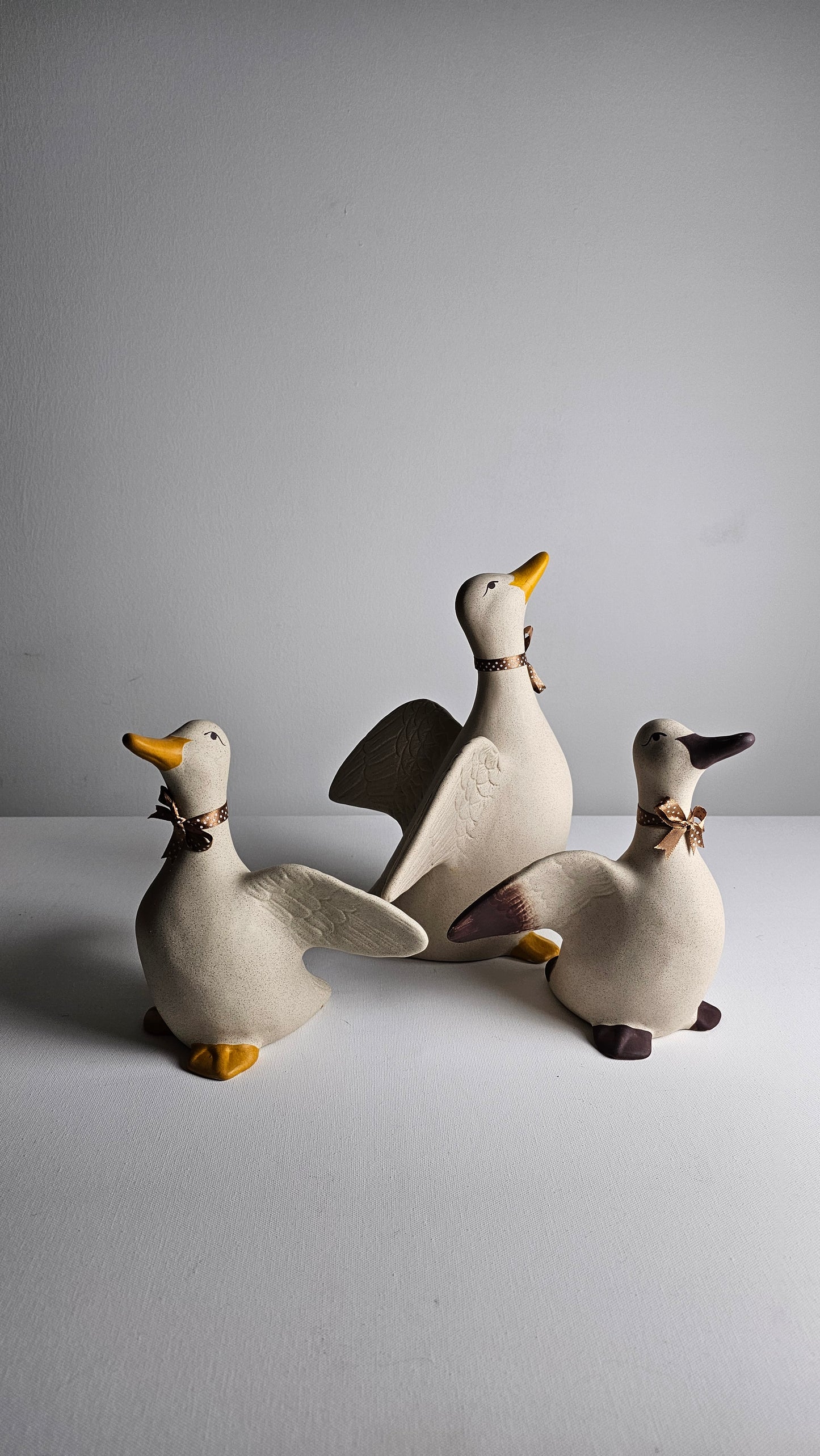 Ducks