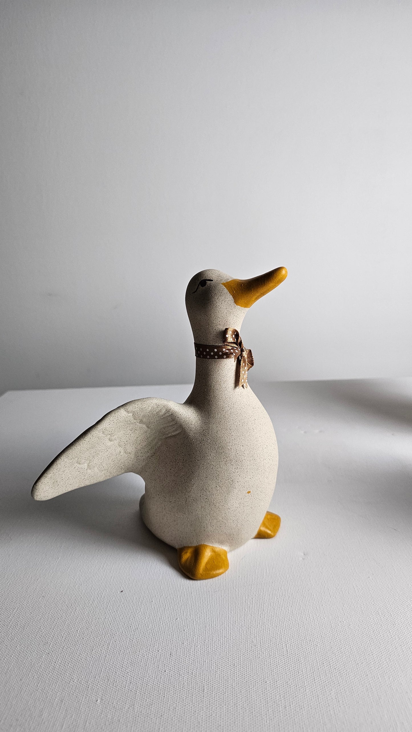 Ducks