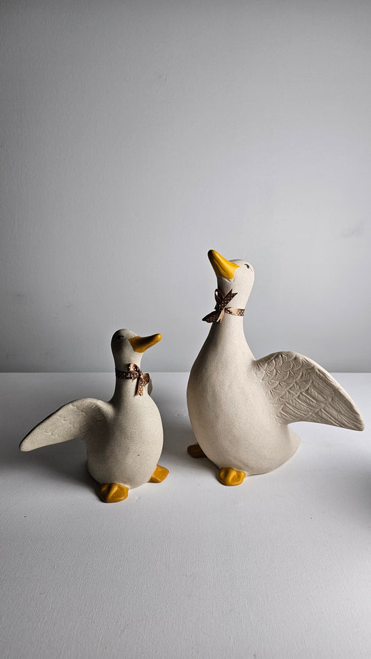 Ducks