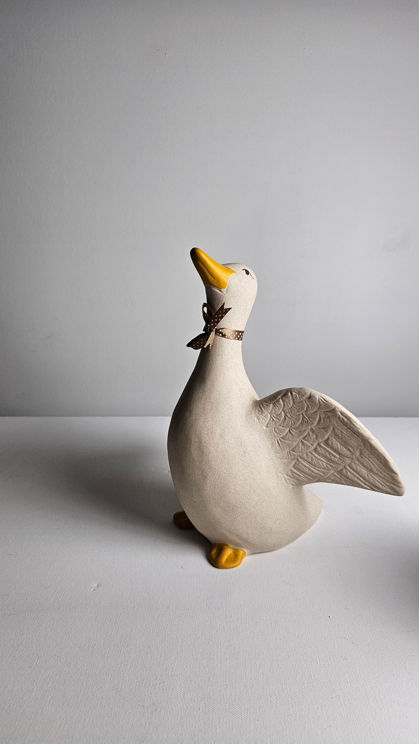 Ducks
