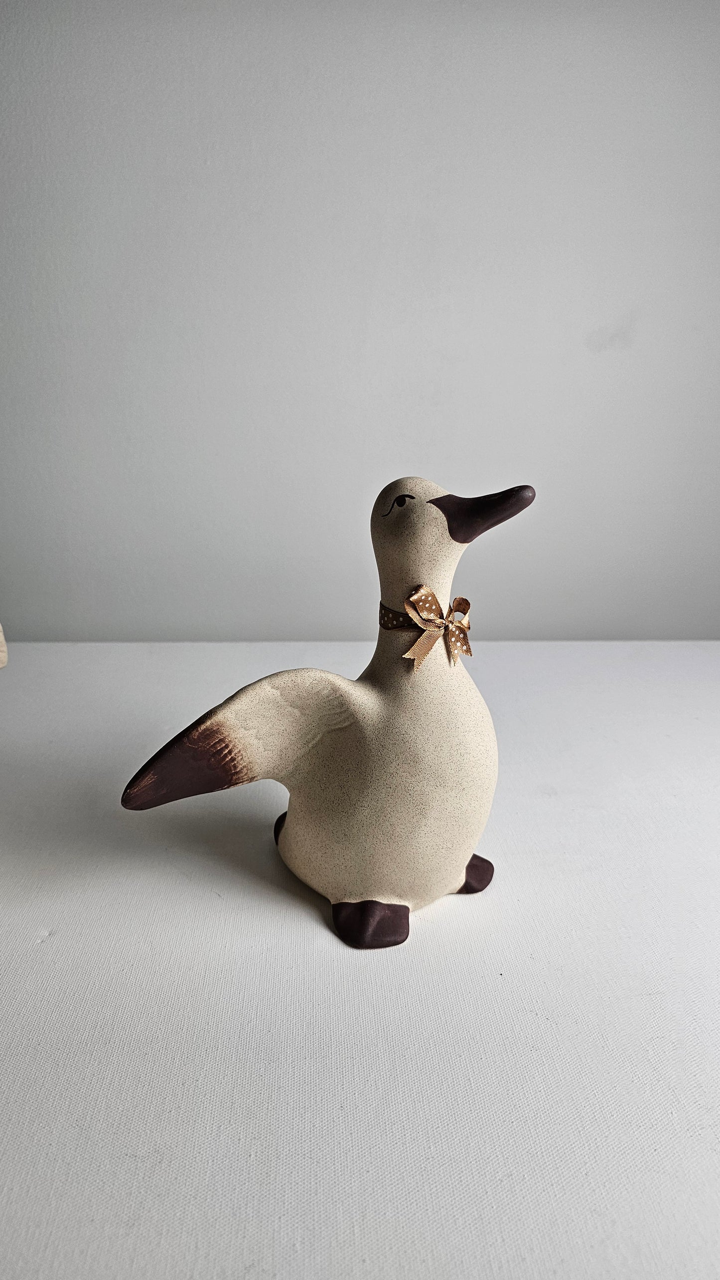 Ducks