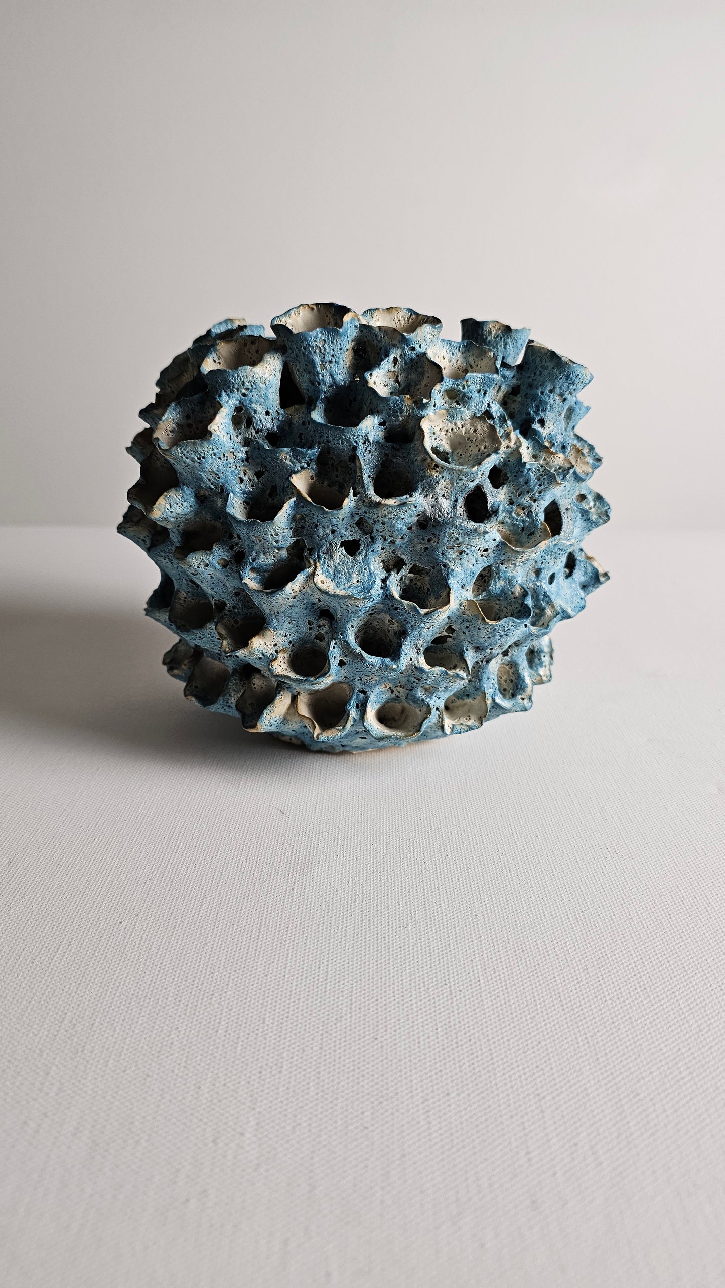 Atlantis Coral Colony - Small
