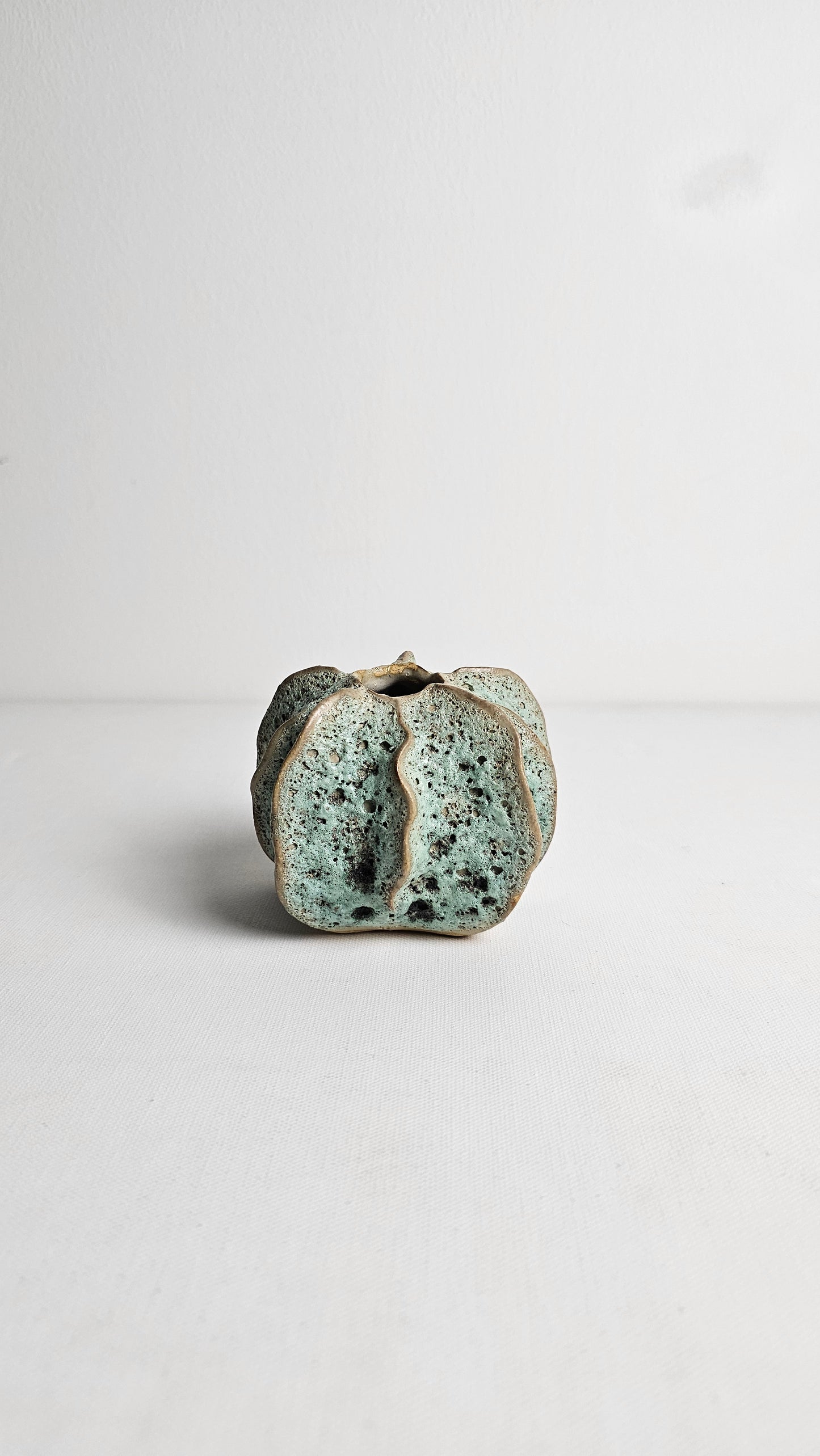 Atlantis Coral Bud