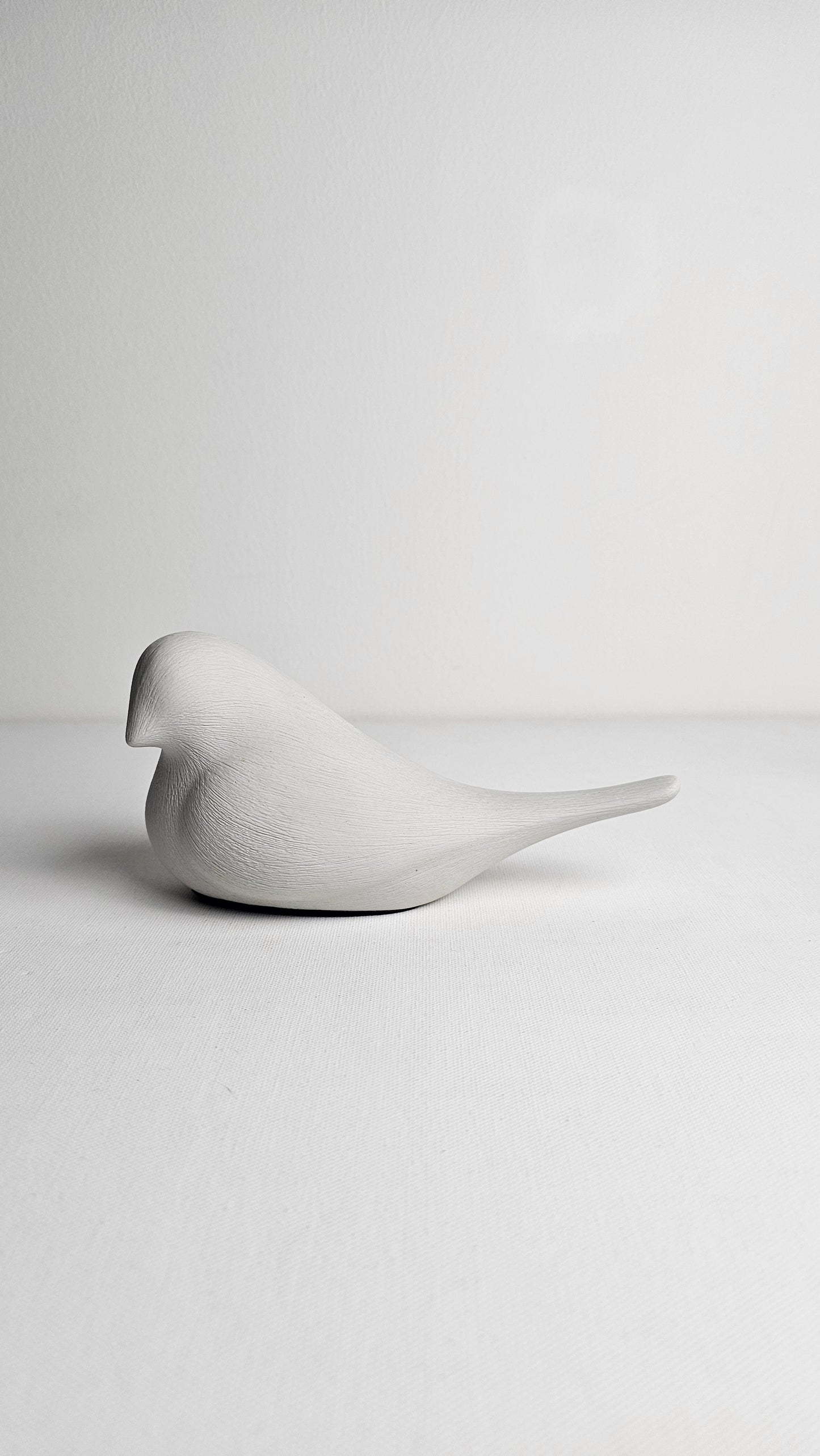 Dove - Medium