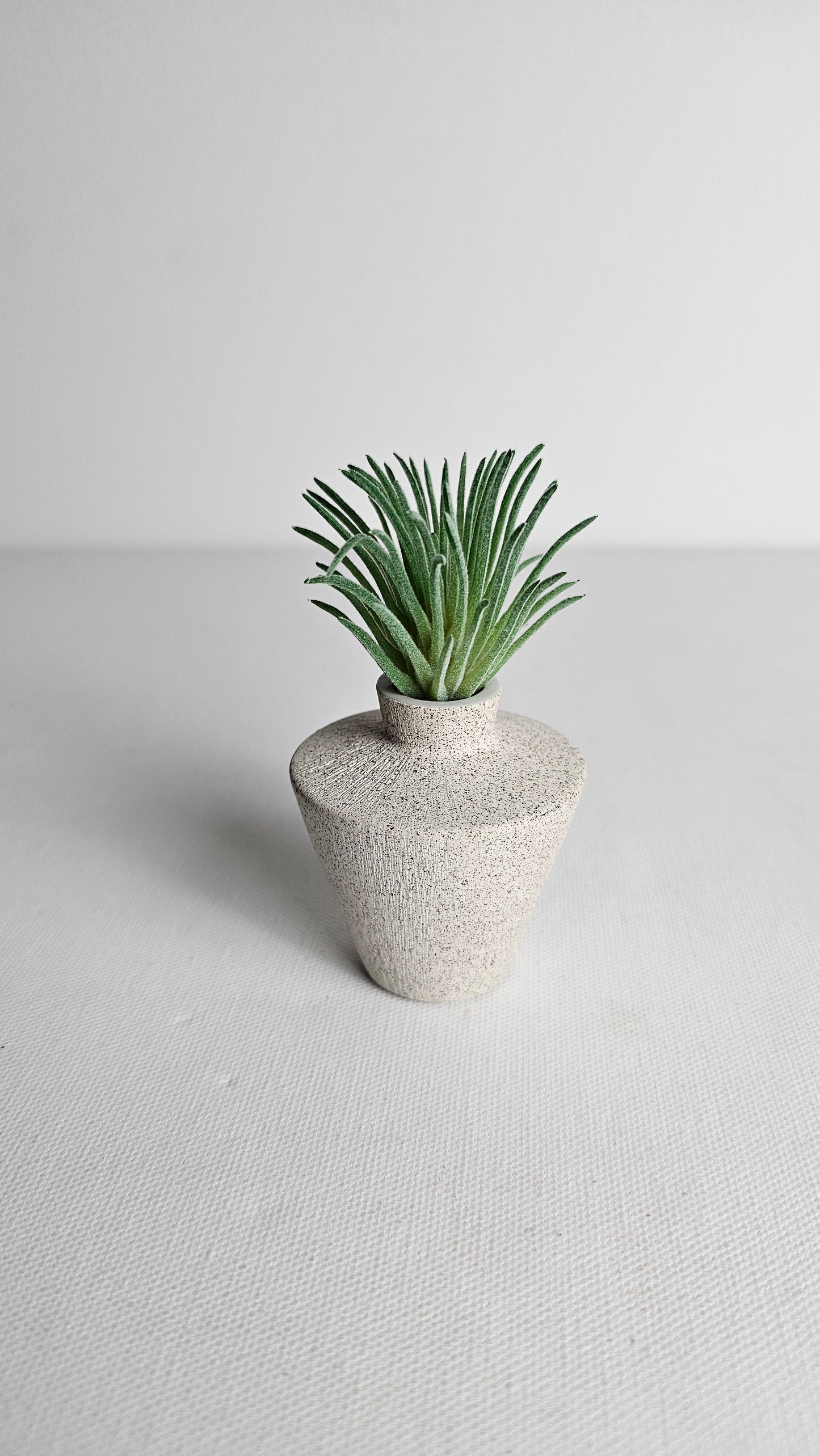 Tiny Vase