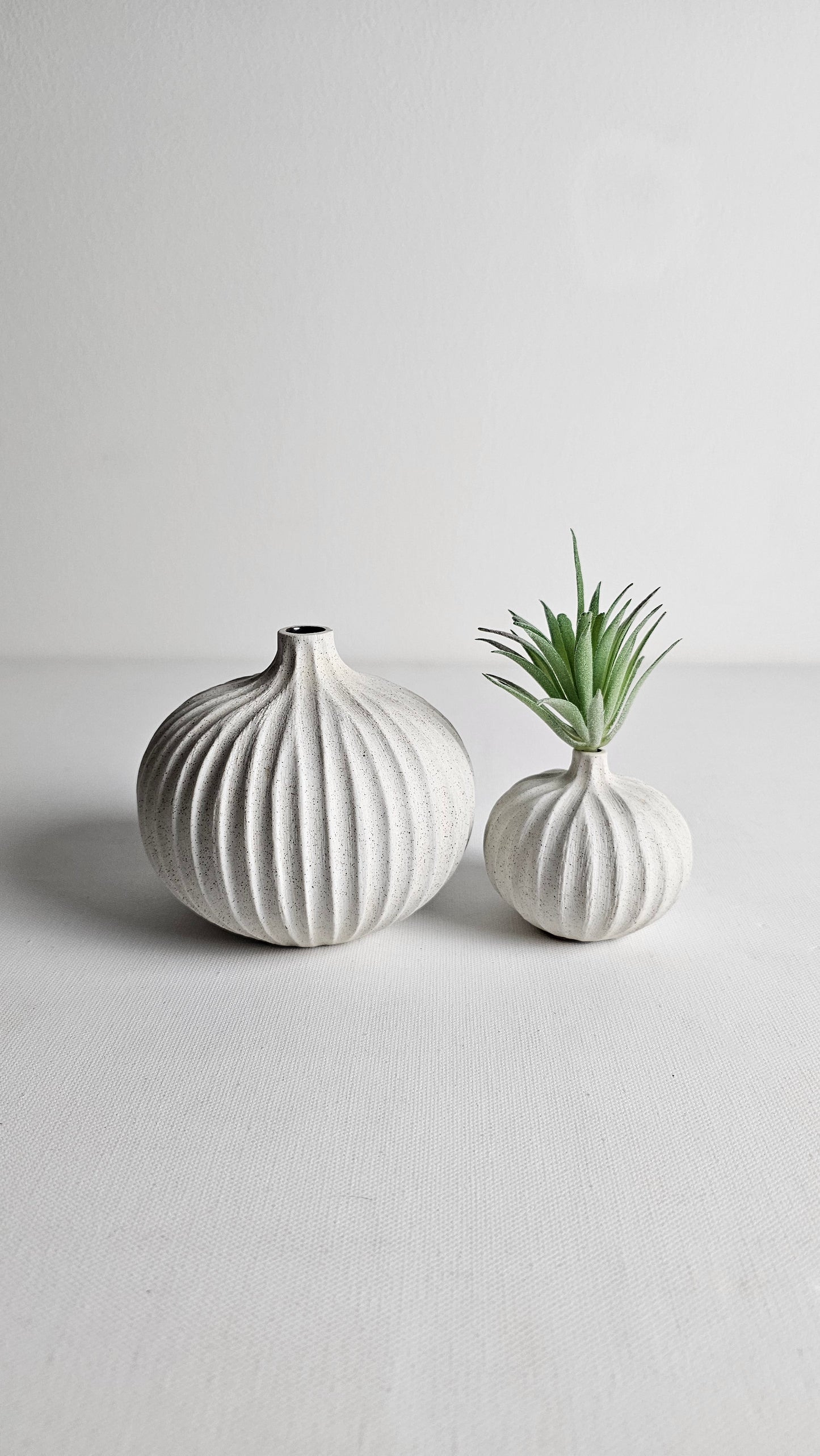 Round Coral - Large