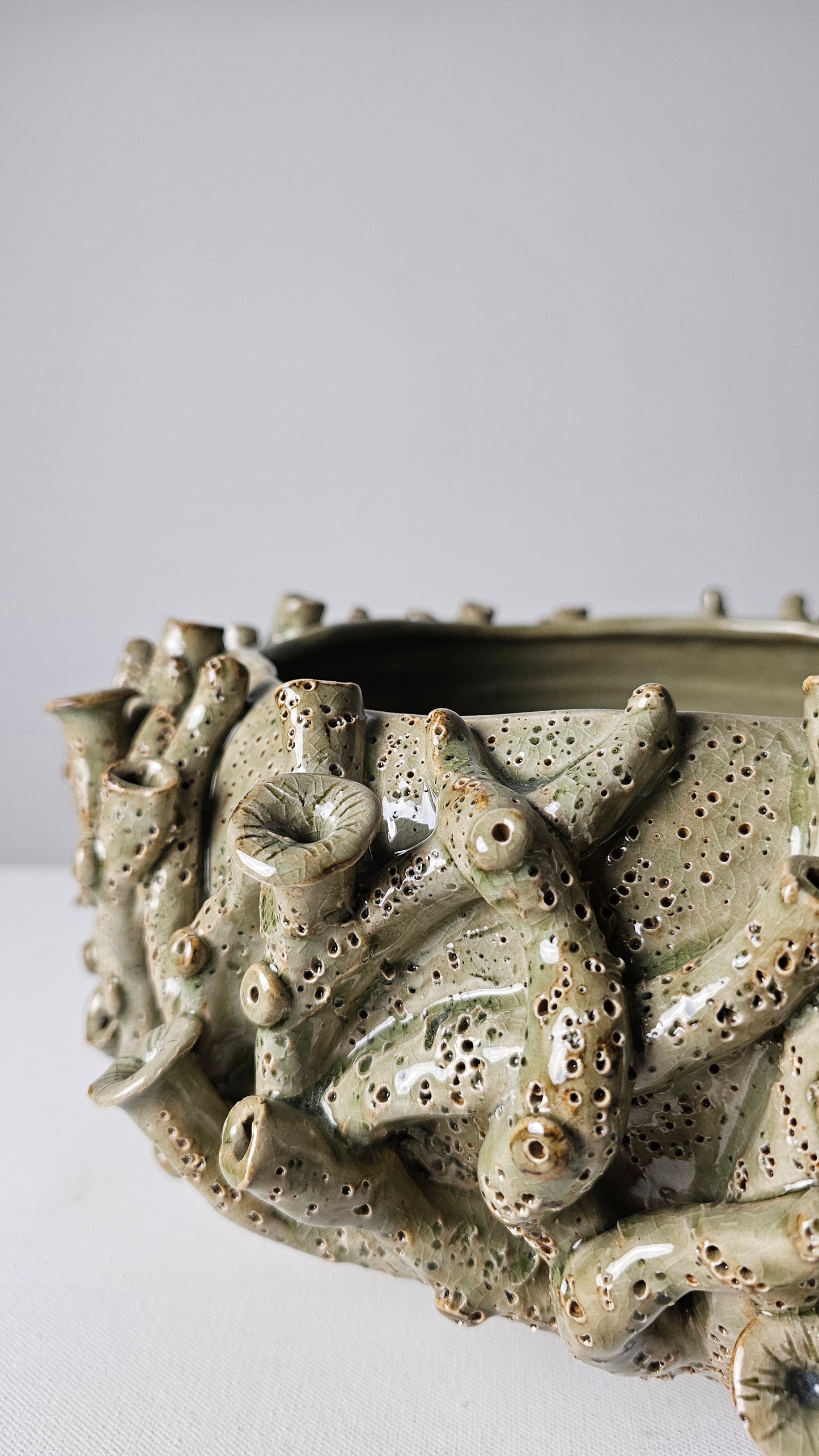 Atlantis Coral Reef vase