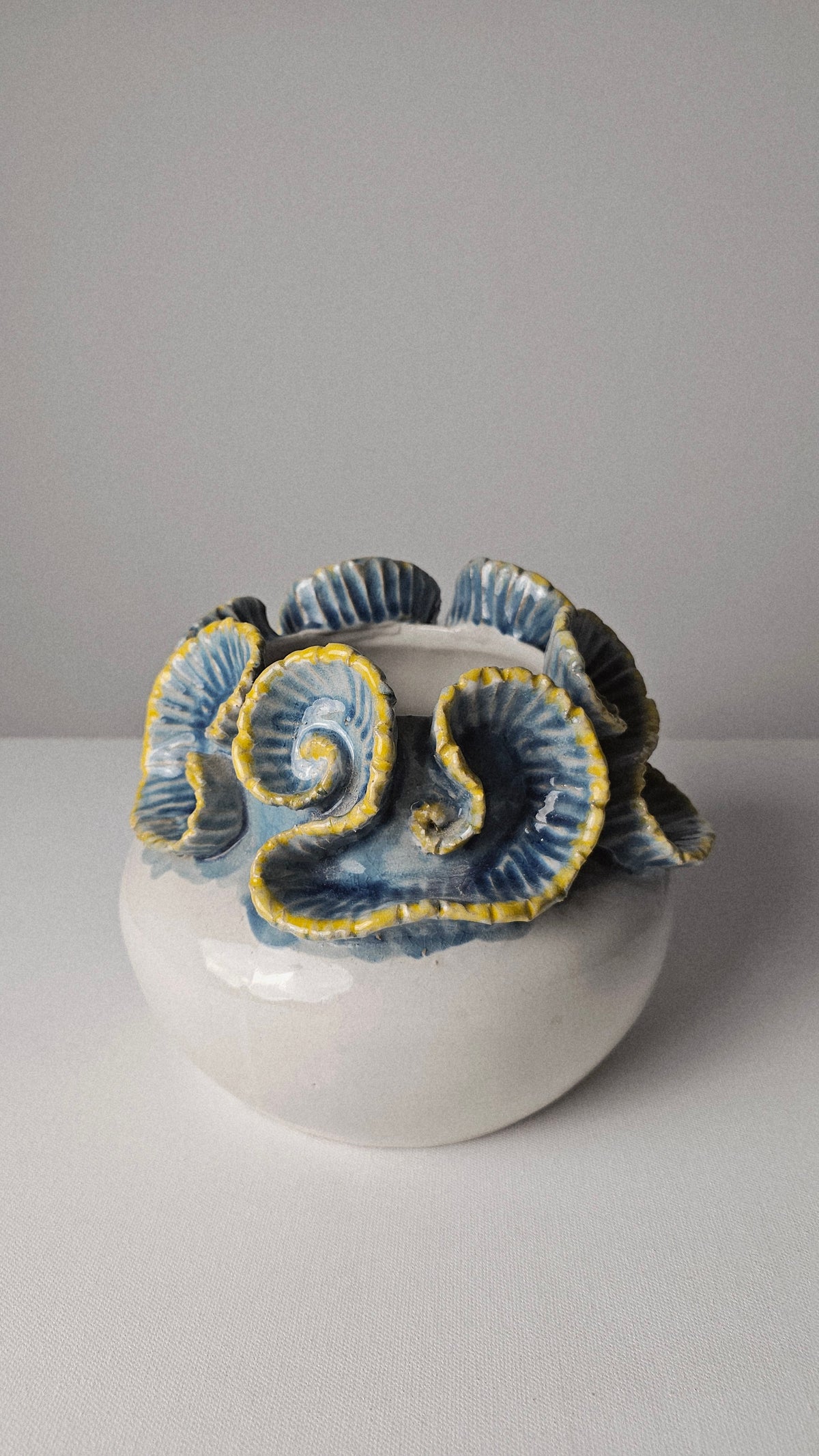 Blue Spiral Bloom