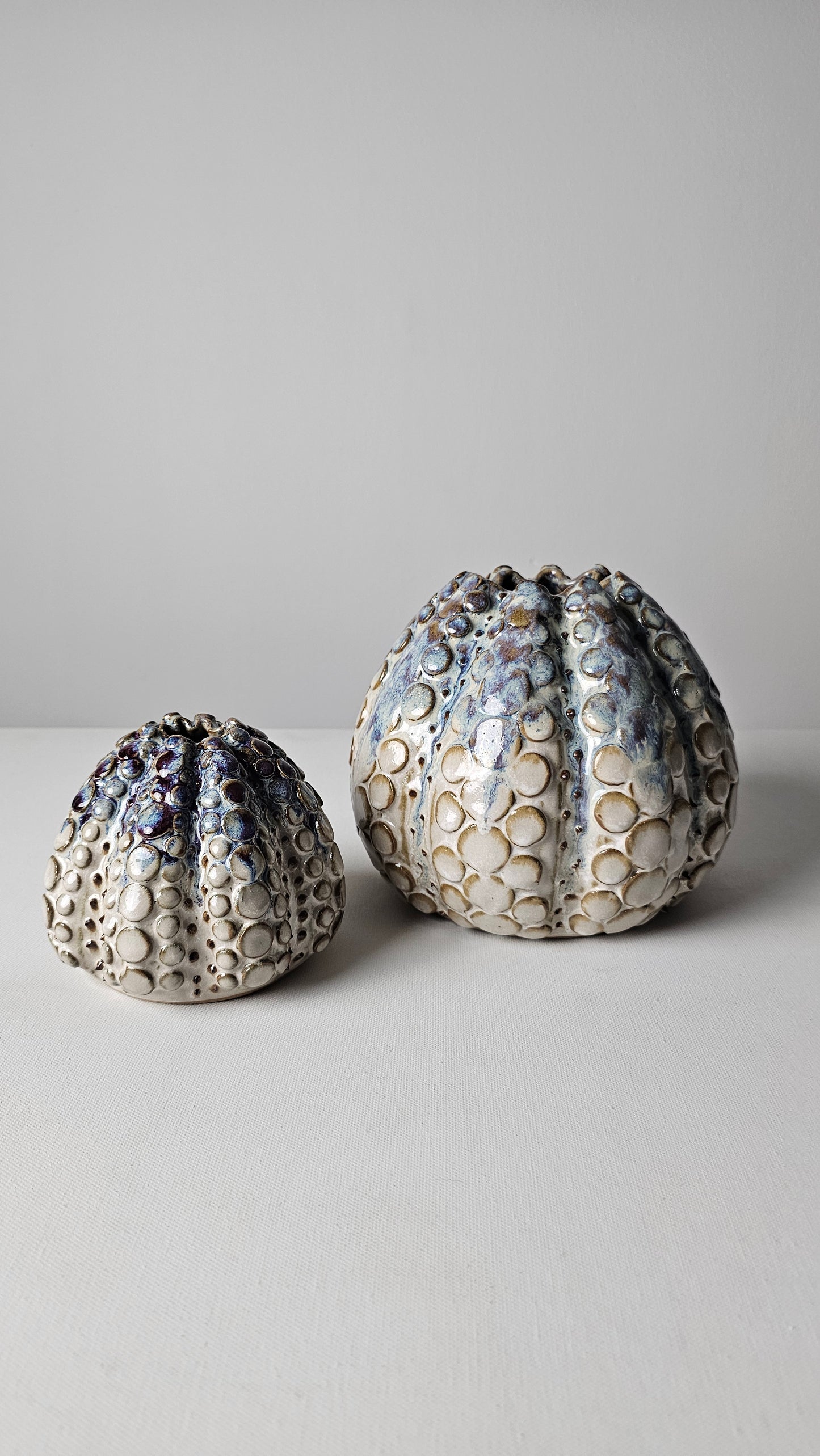 Urchin Bud