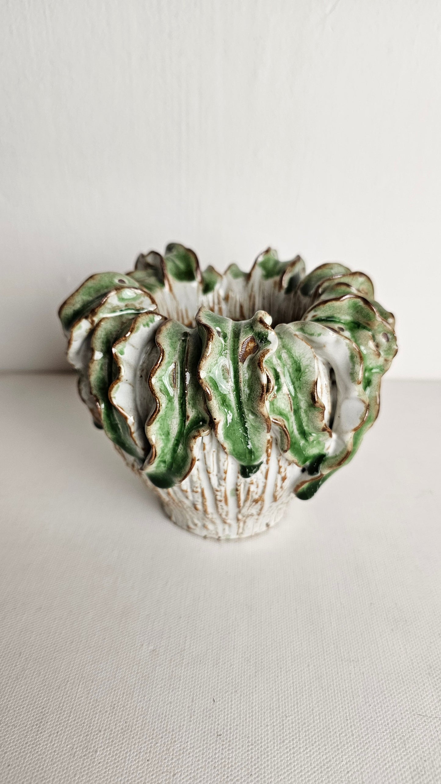 Atlantis Fern