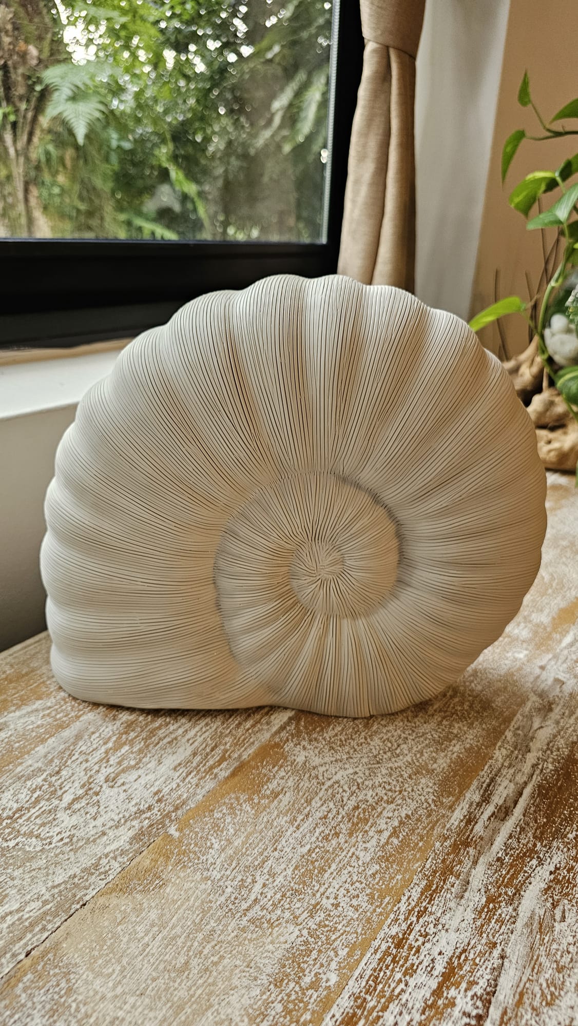 Seashell - Large