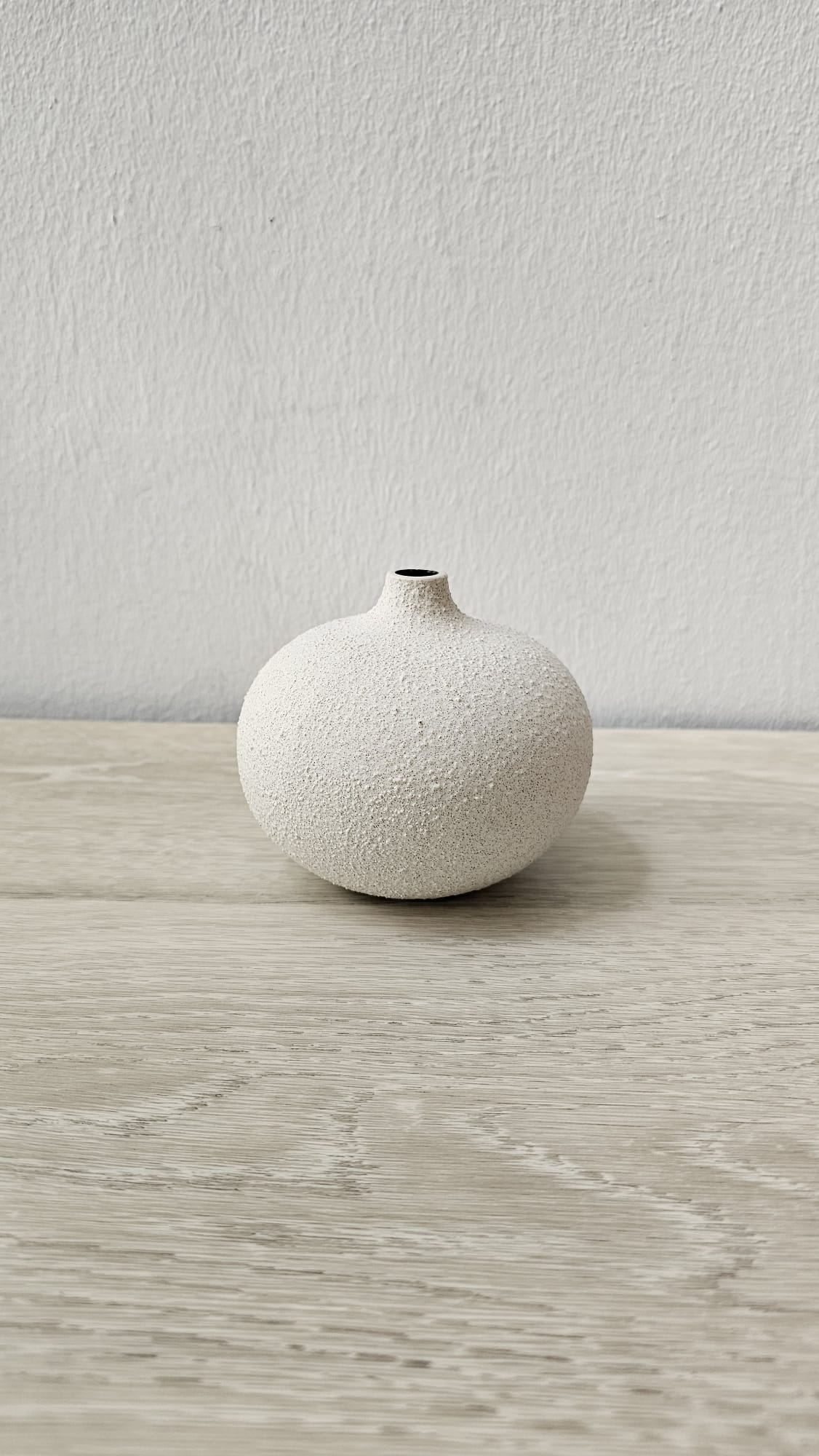 Round Coral - Medium