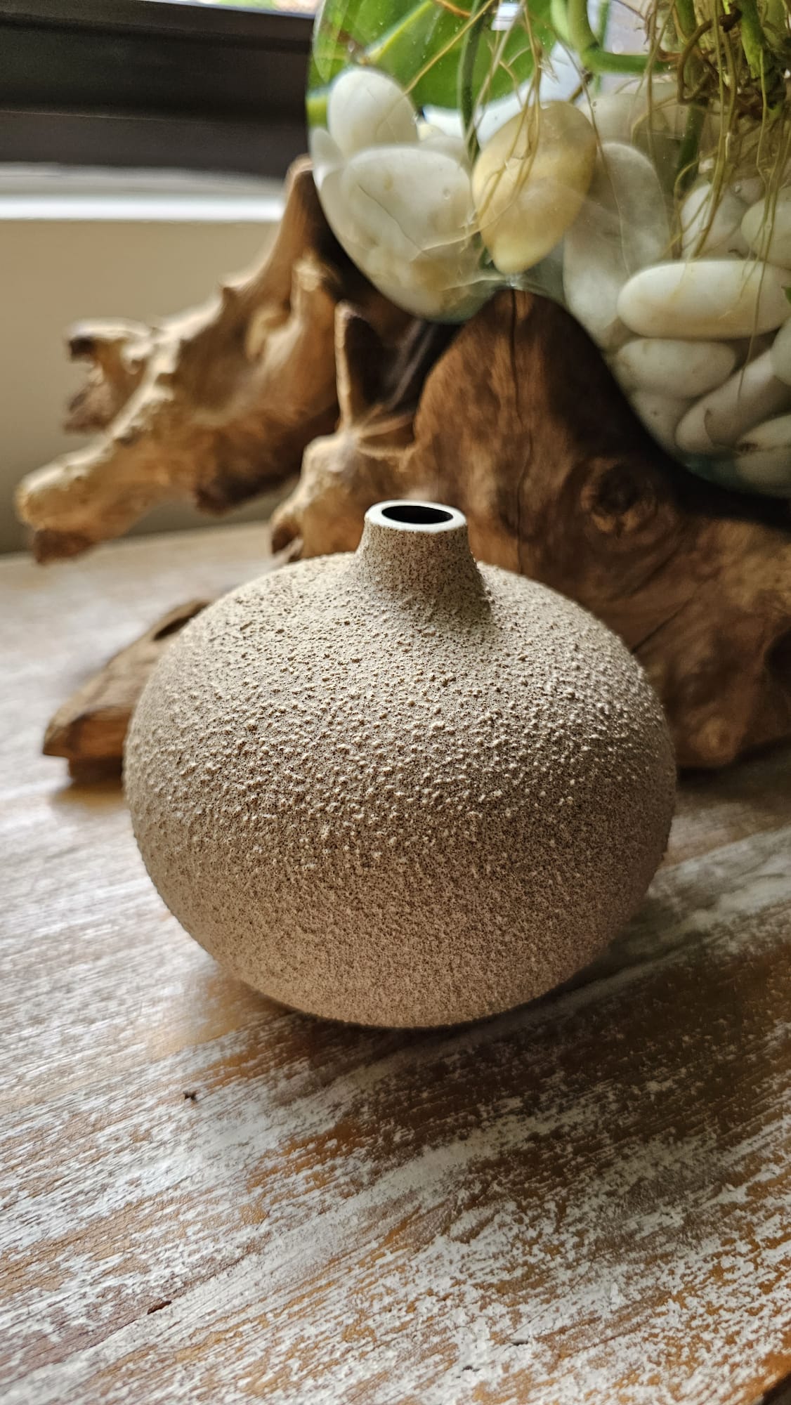 Round Coral - Large