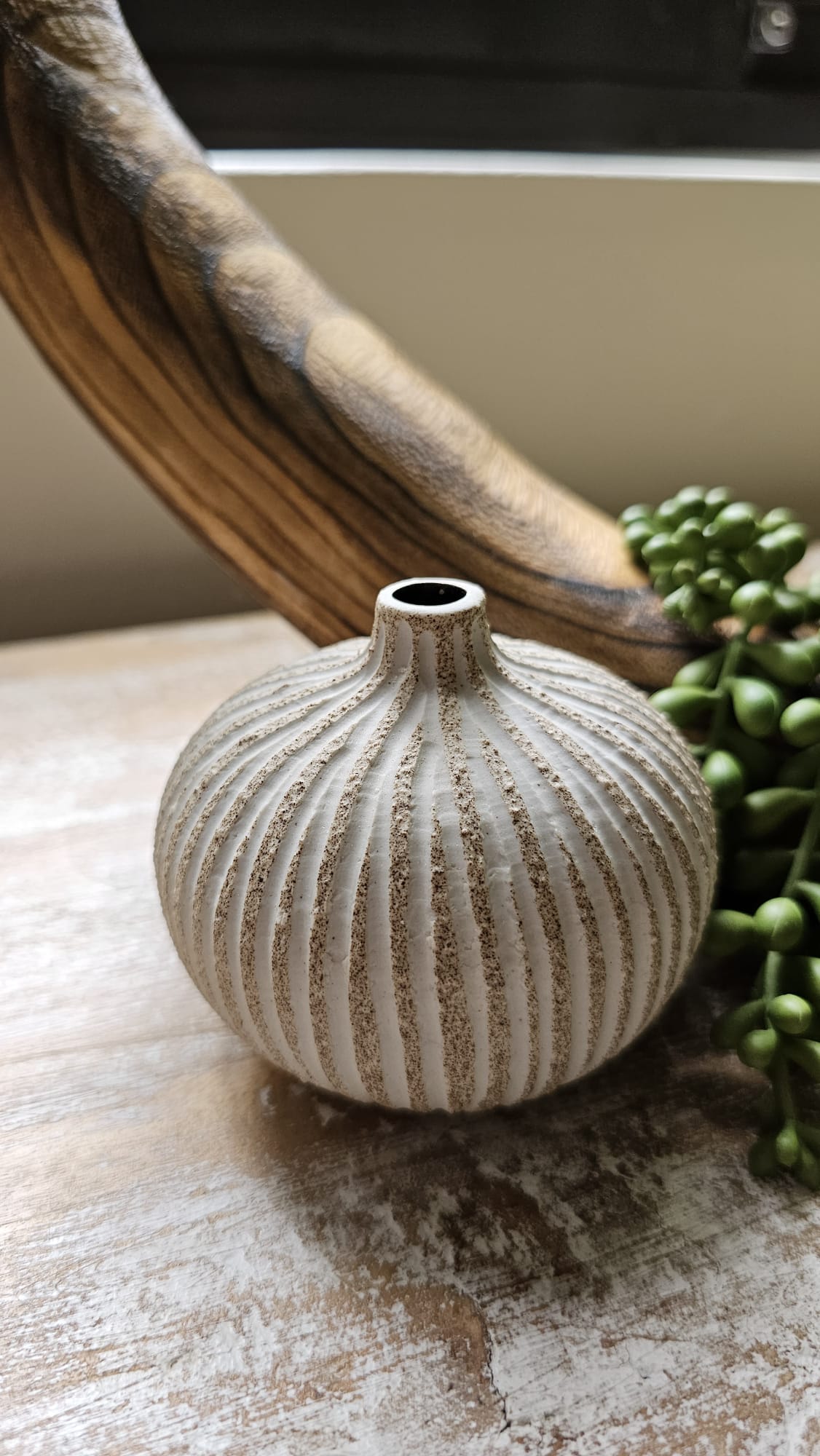 Round Coral - Medium