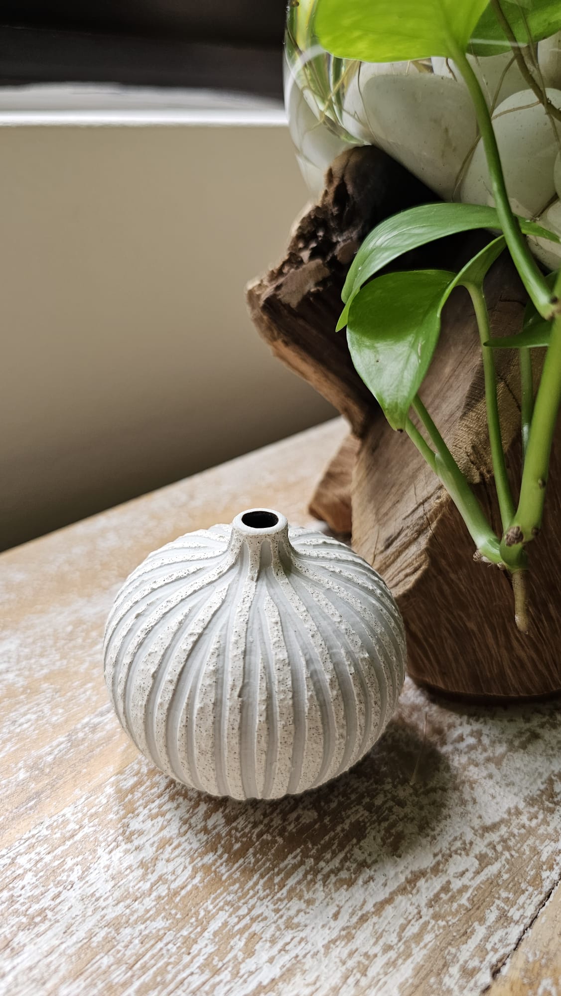Round Coral - Small