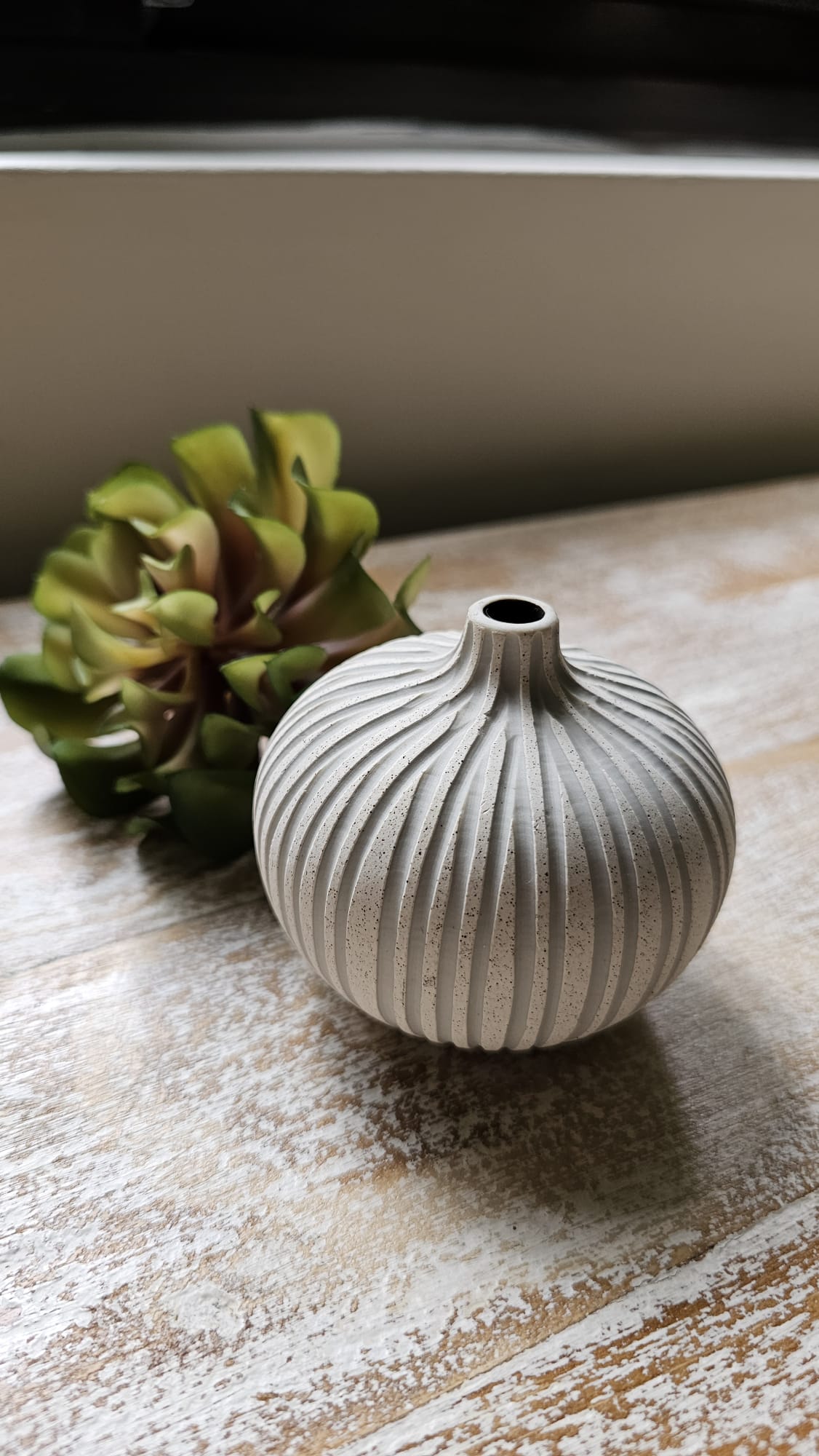 Round Coral - Medium