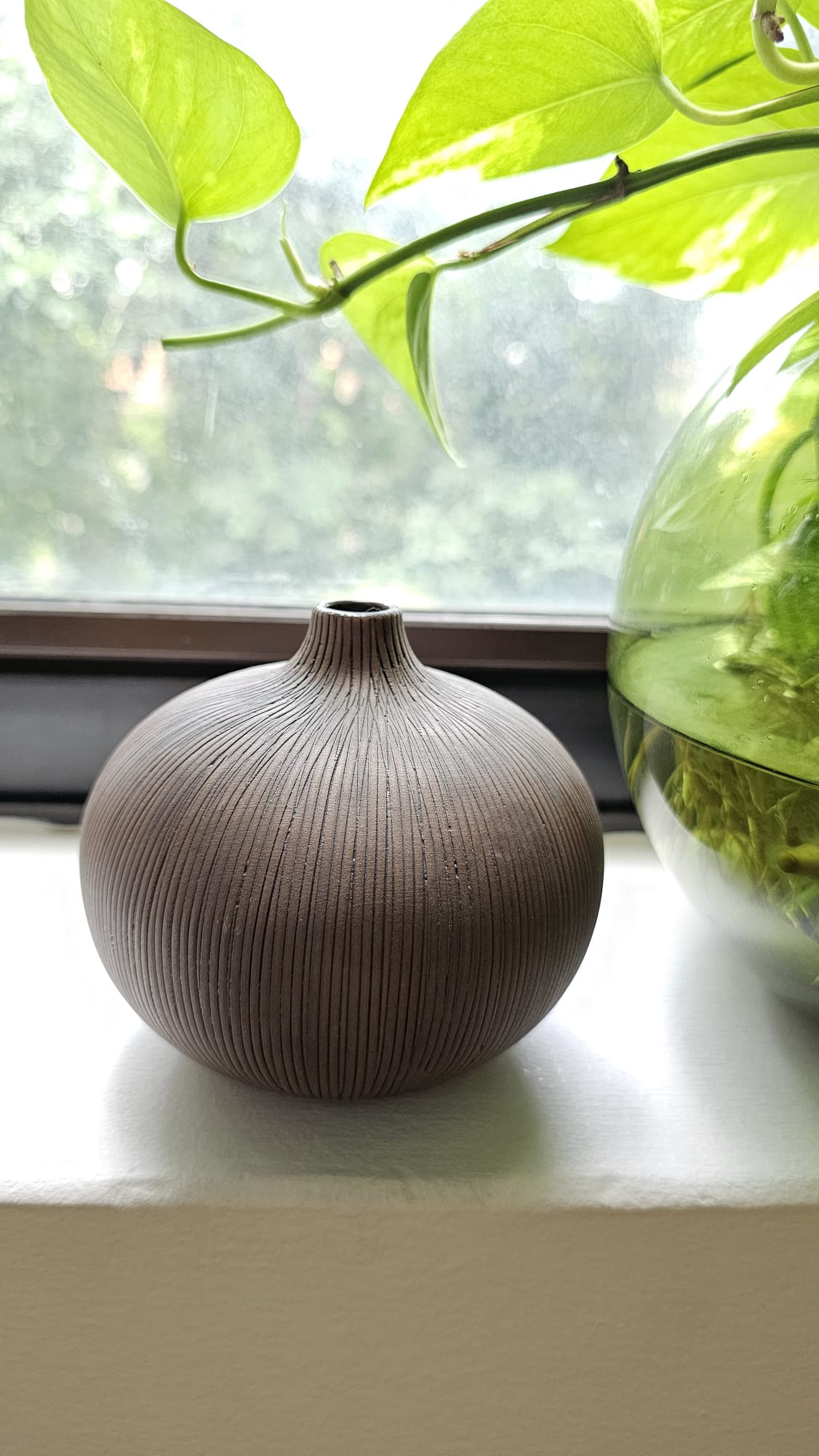 Round Coral - Large