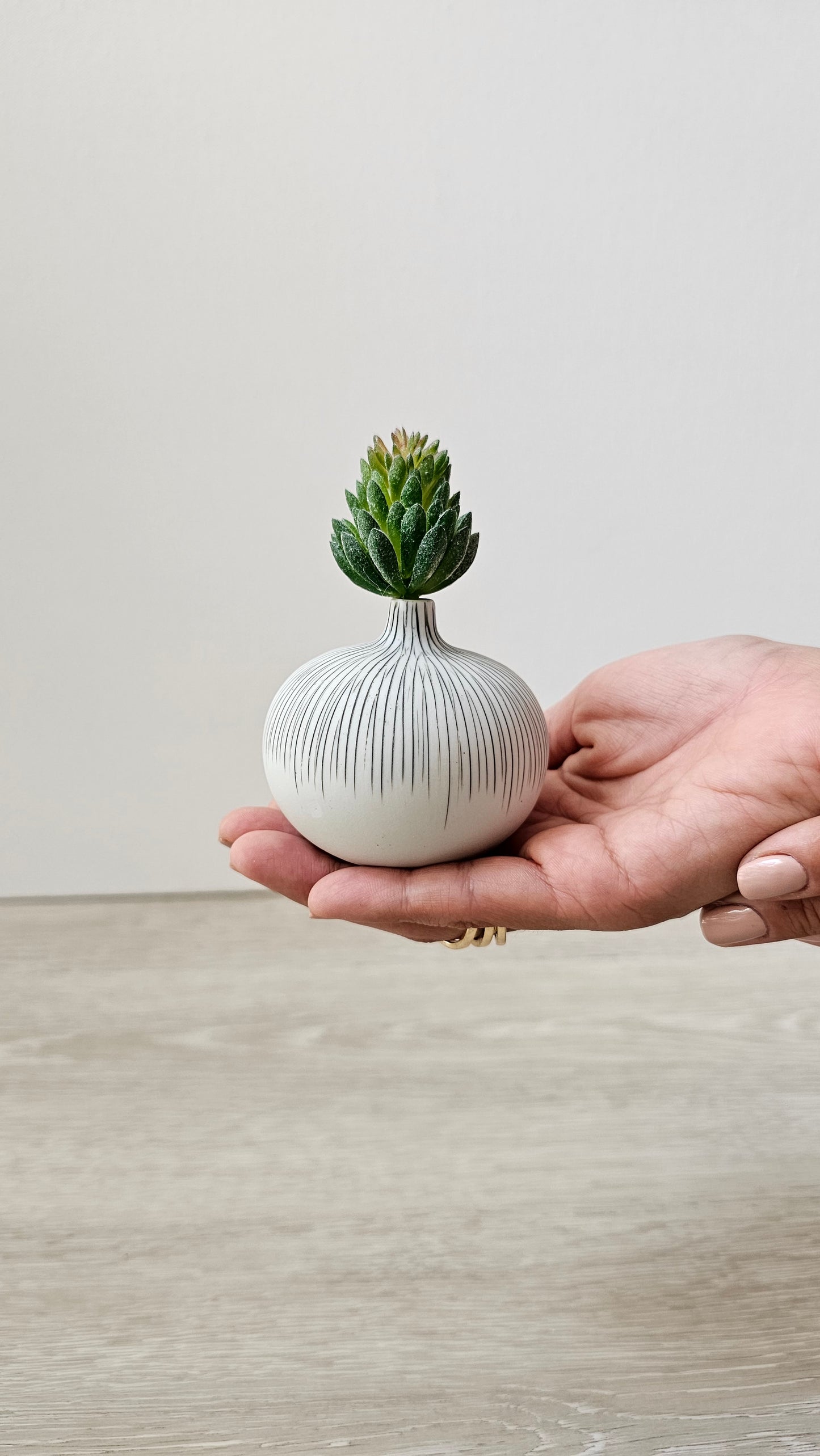 Round Coral - Small