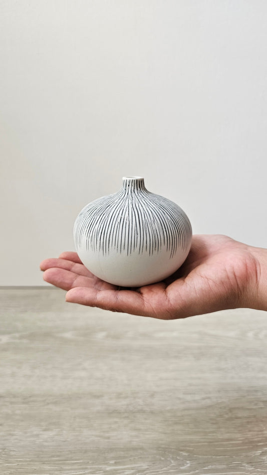 Round Coral - Medium