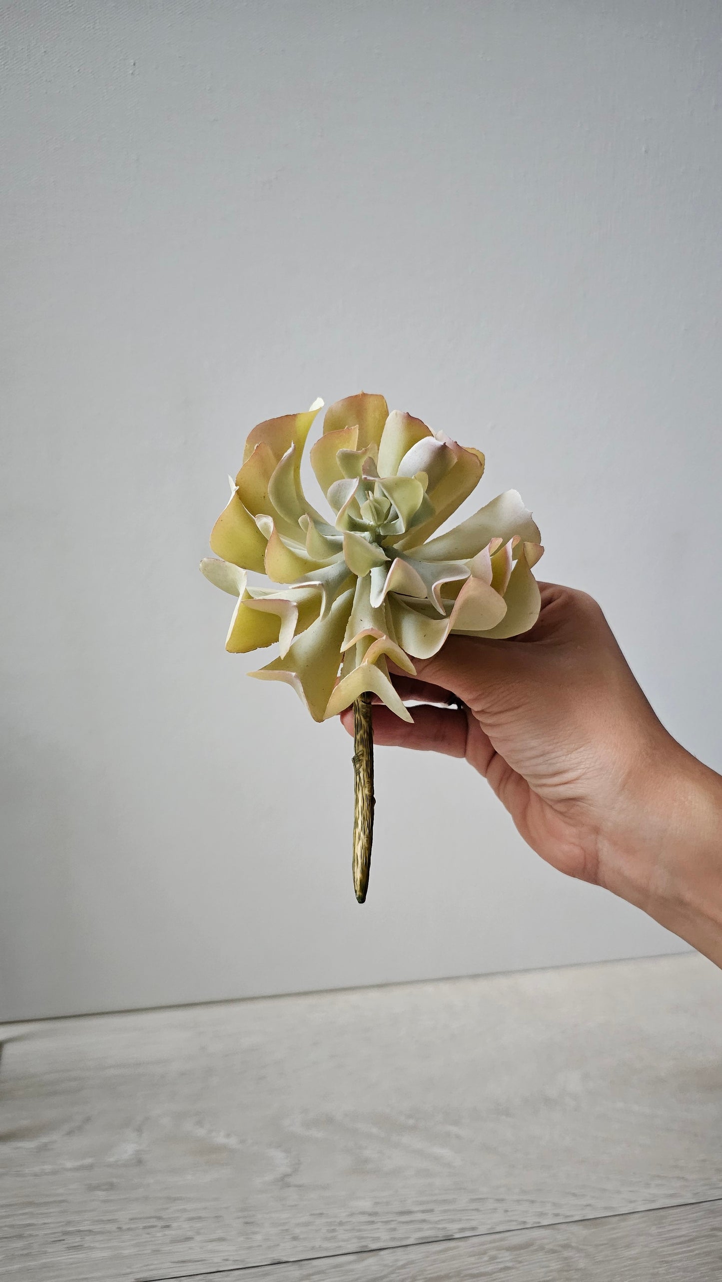 Artificial Succulent (Flowers & Branches)