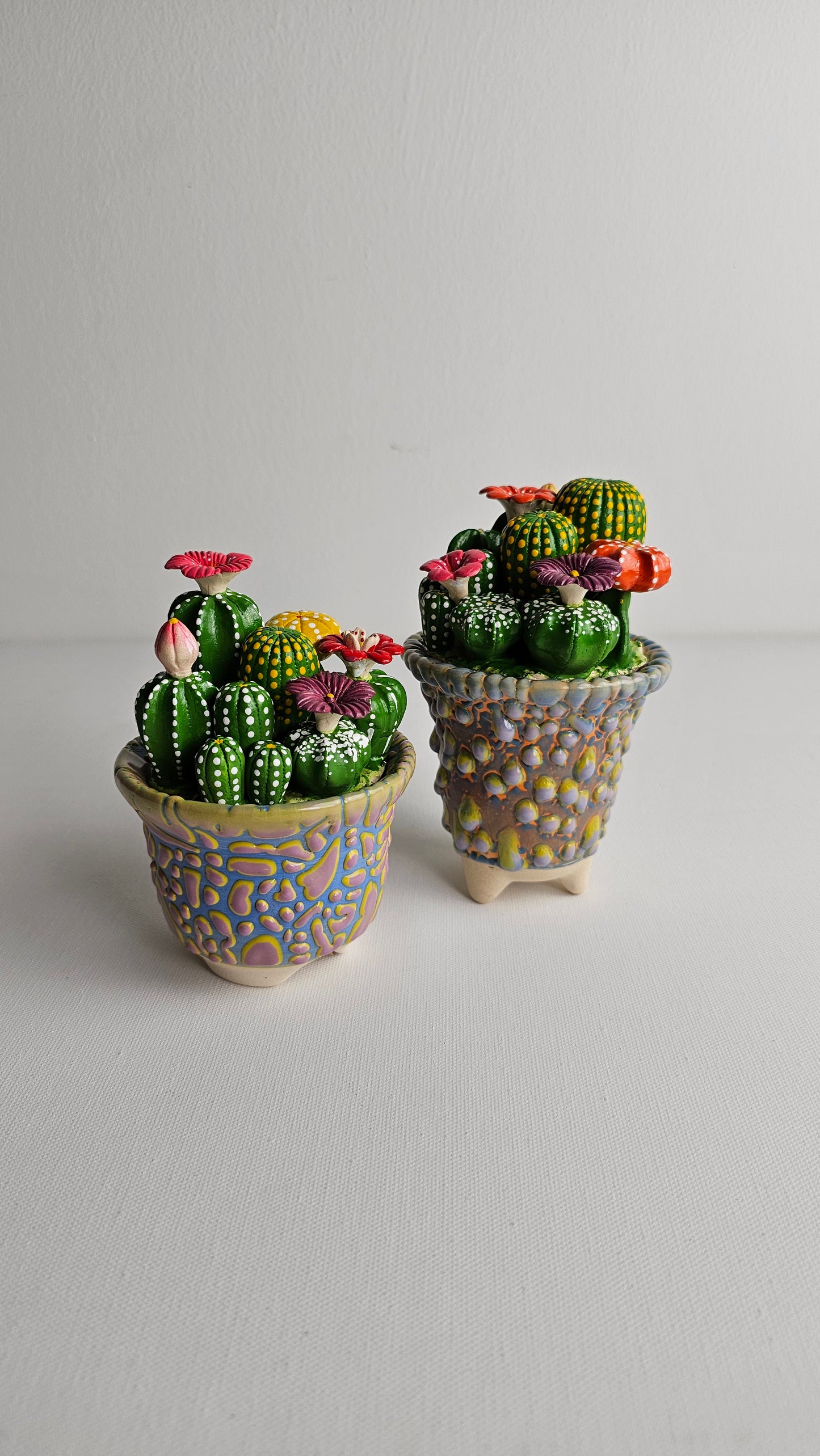 Handmade Ceramic Succulents