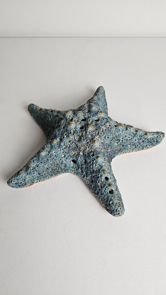 Atlantis Starfish