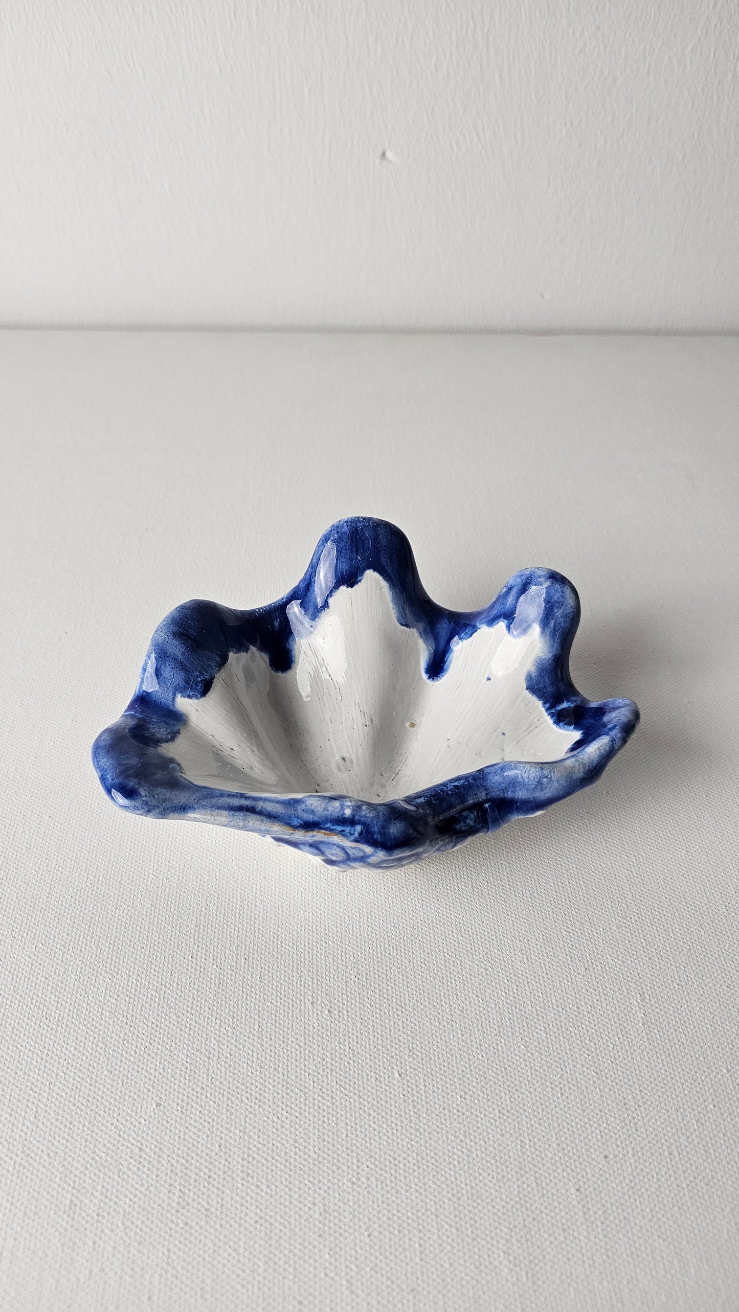 Coastal Charm Oyster-Shaped Trinket Tray - White & Blue Shell