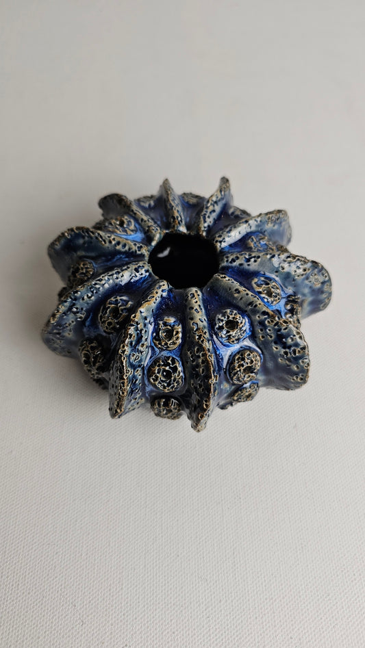 Coastal Charm Midnight sea Urchin Vase