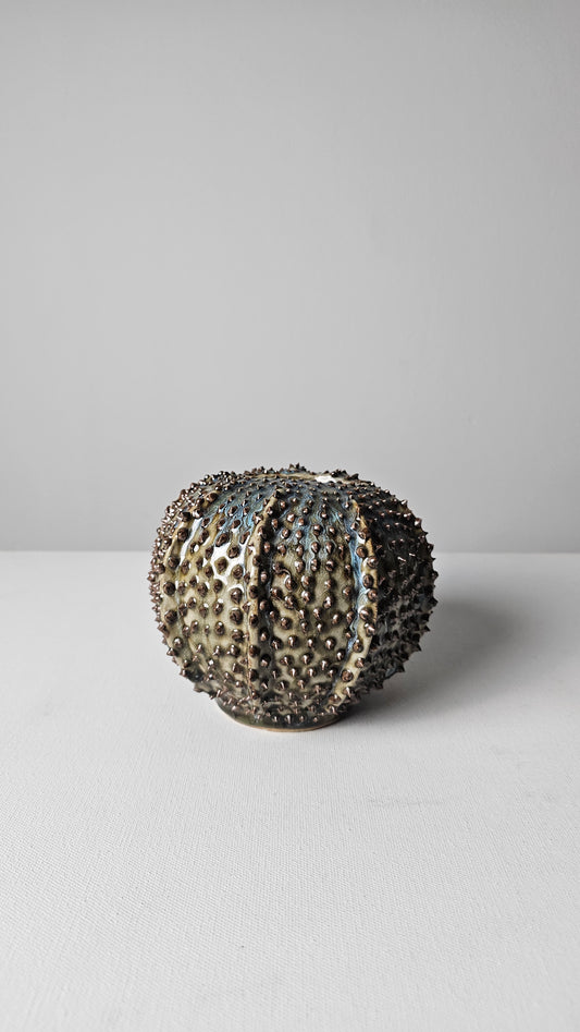 Atlantis Thorn Coral Vase- Small