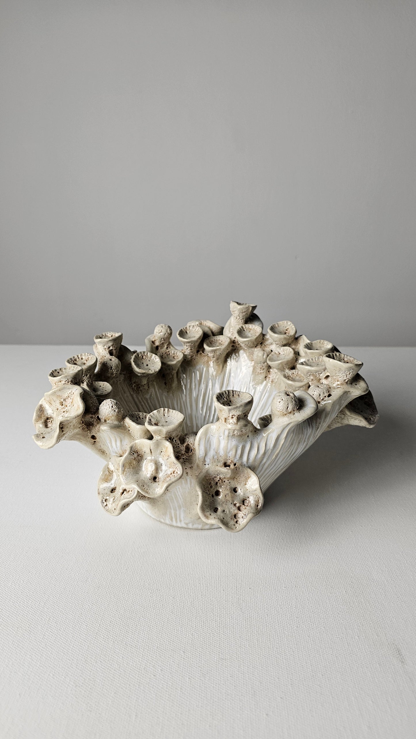 Bleached Reef