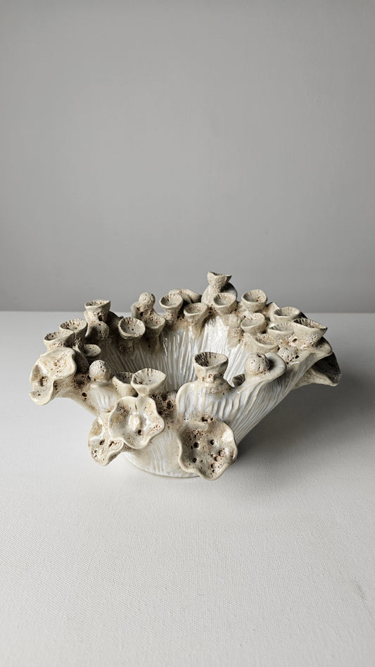 Bleached Reef