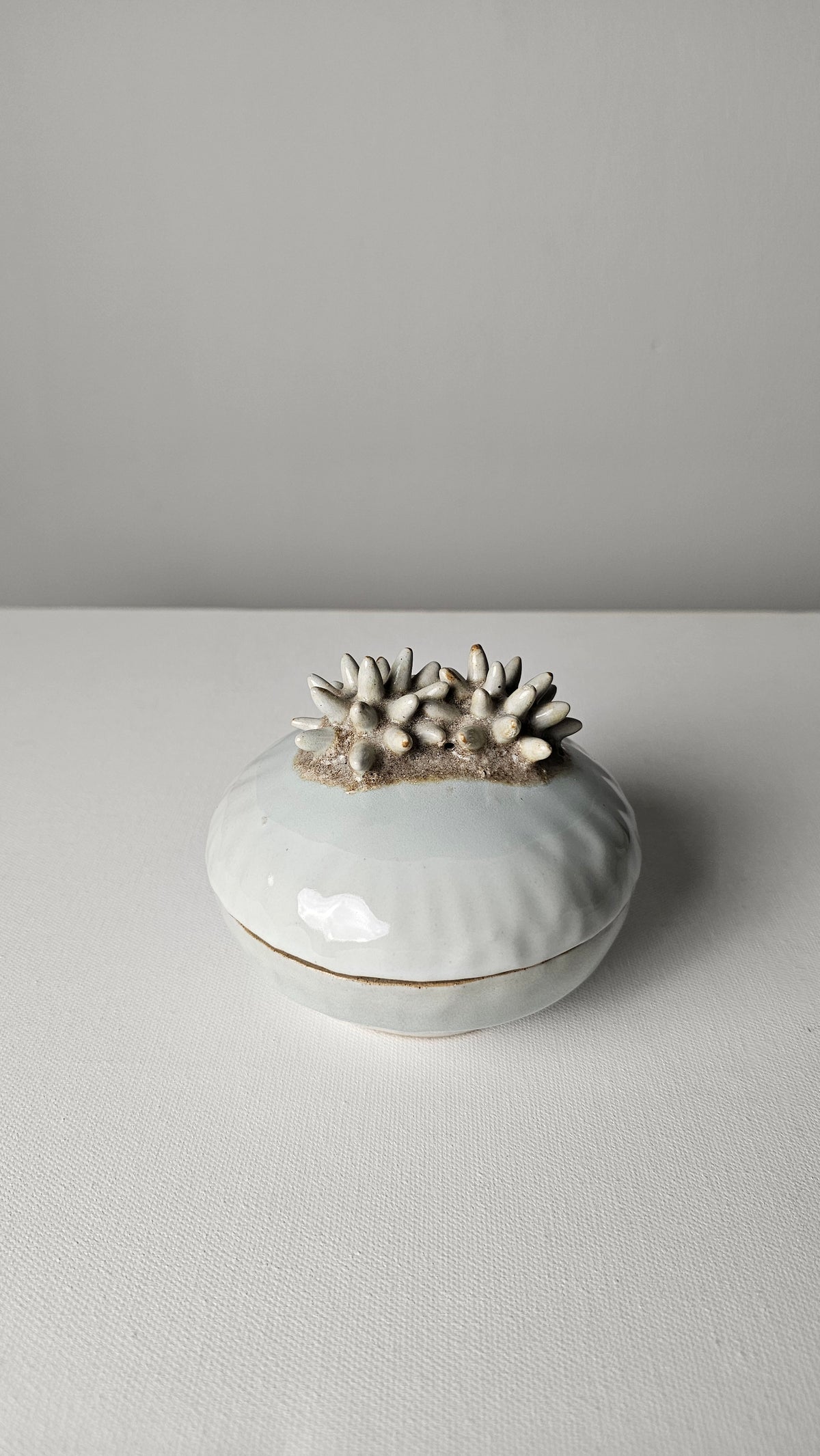 Ocean Keepsake