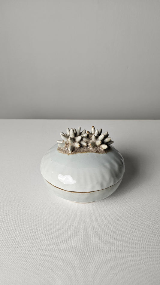 Ocean Keepsake