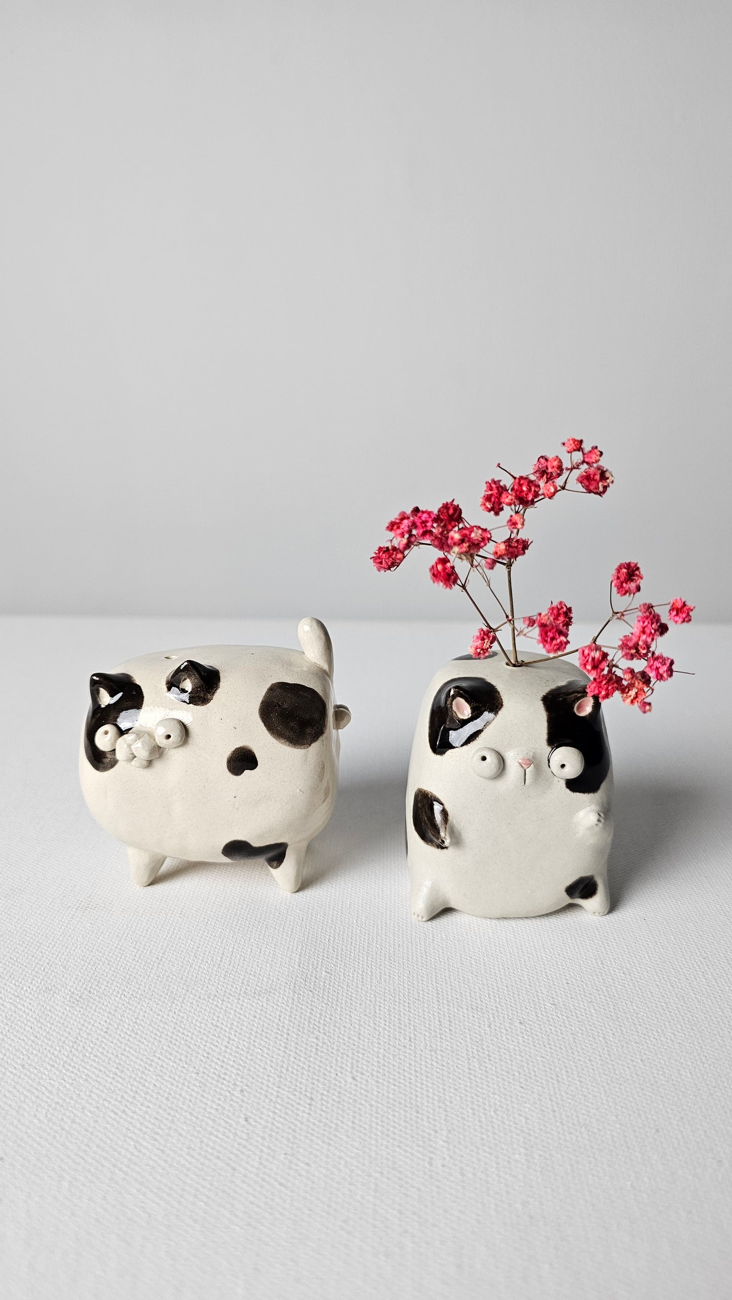 Mochi Cat Planters