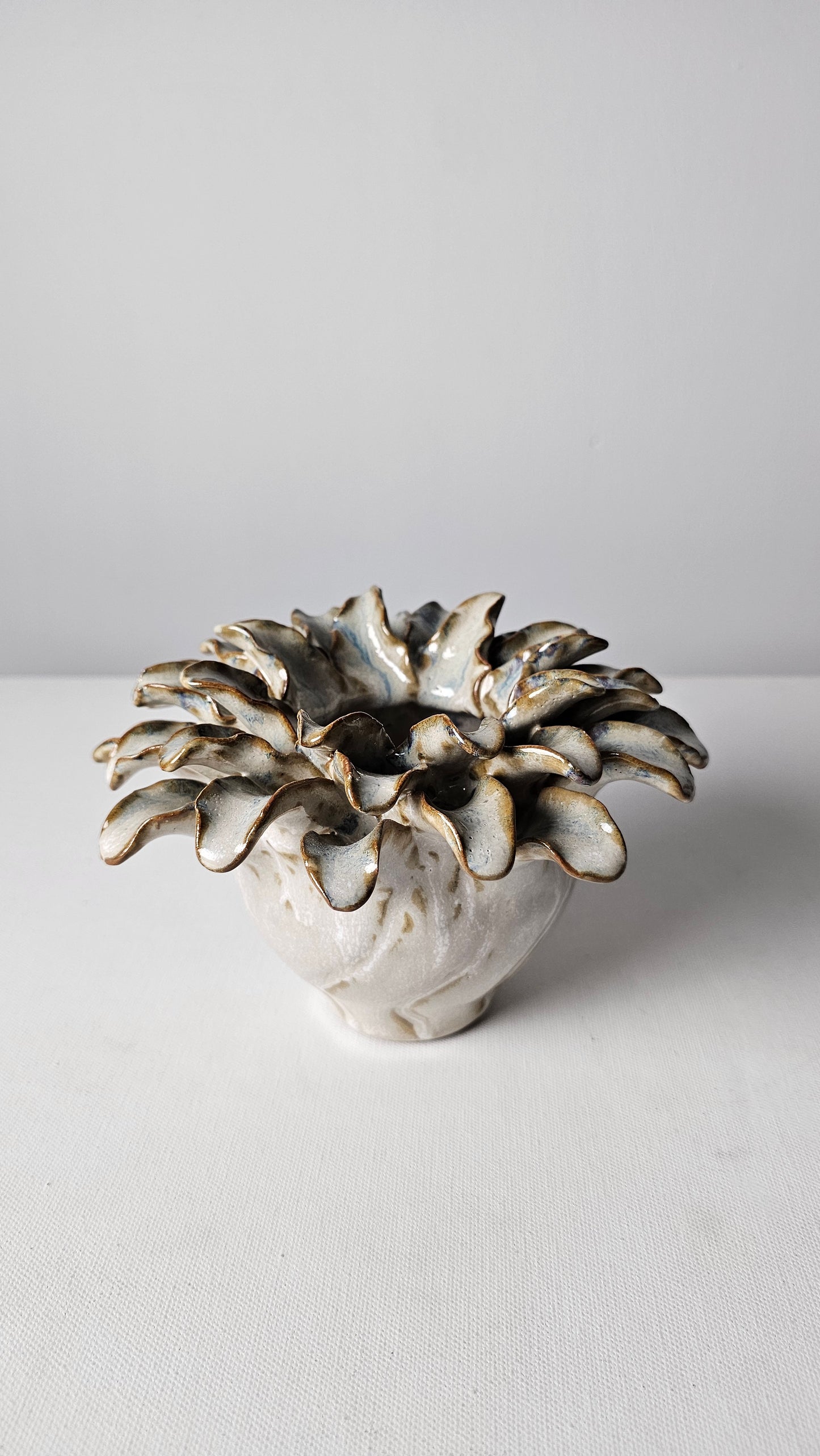 Coral Crown