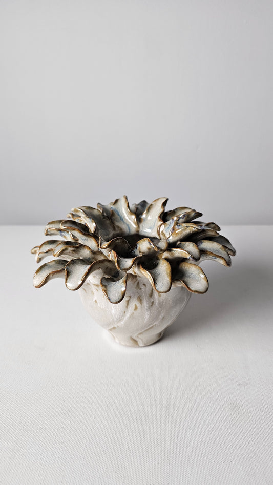 Coral Crown