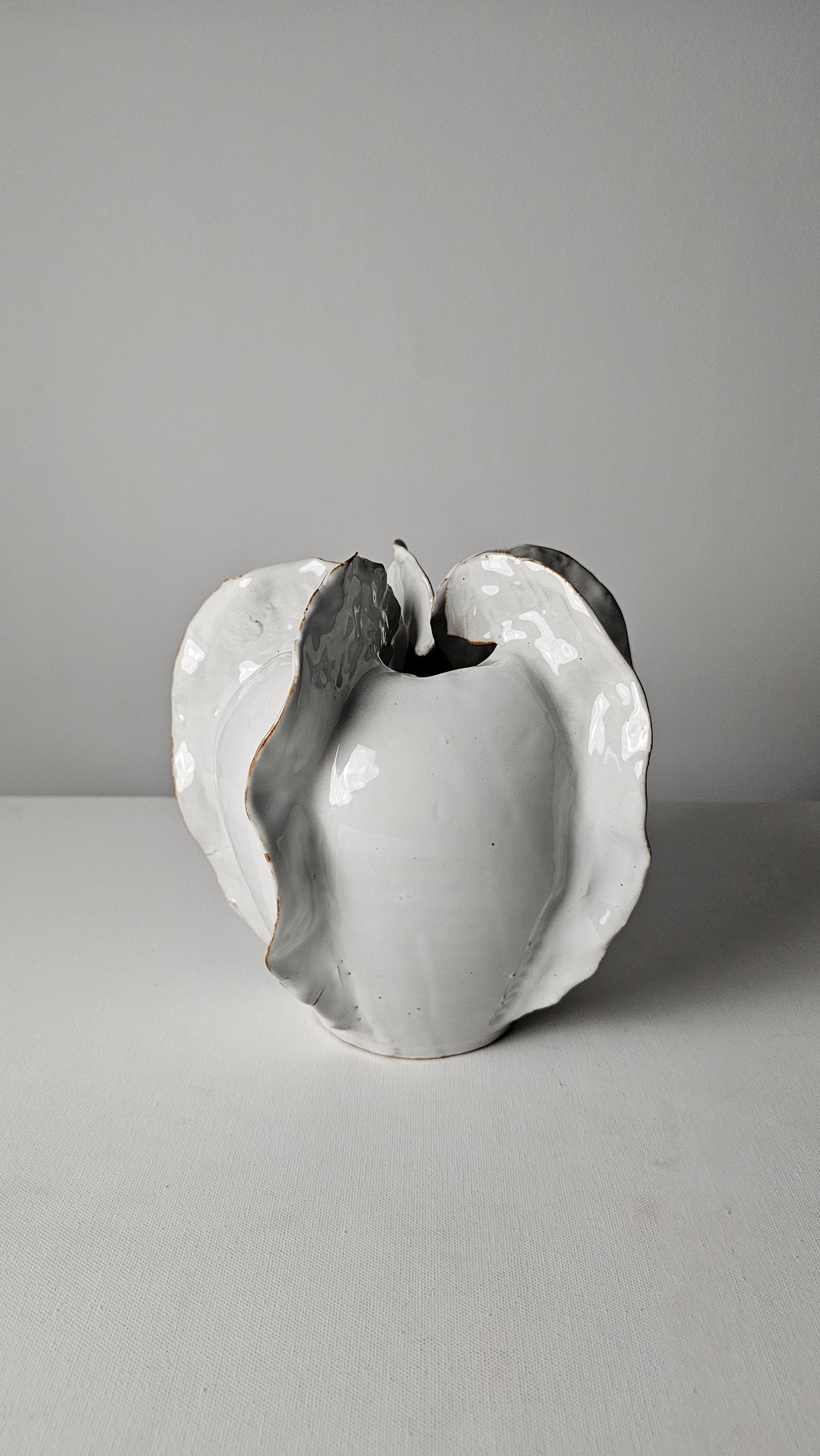 Shell Vase