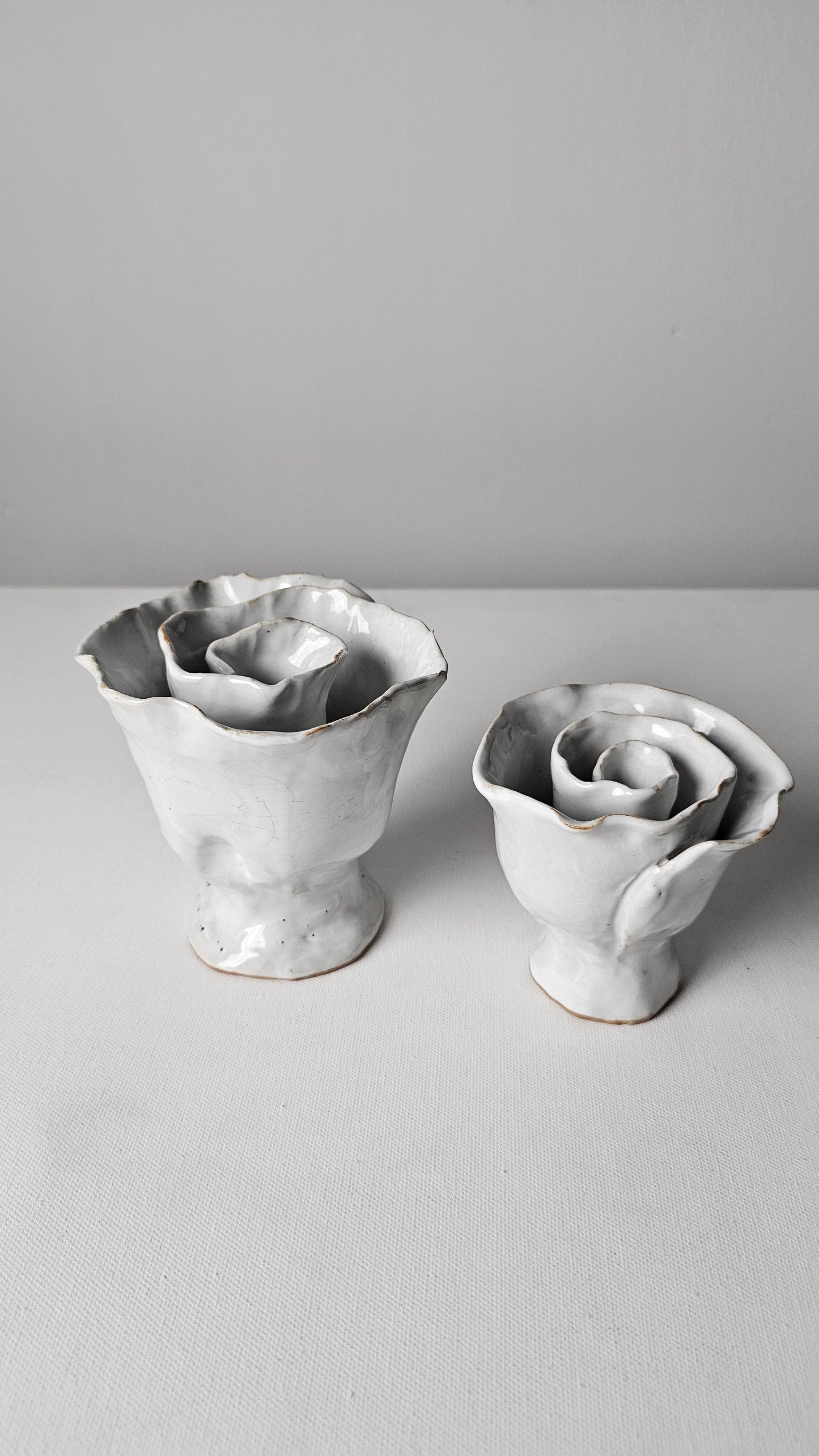 White Rose Tide