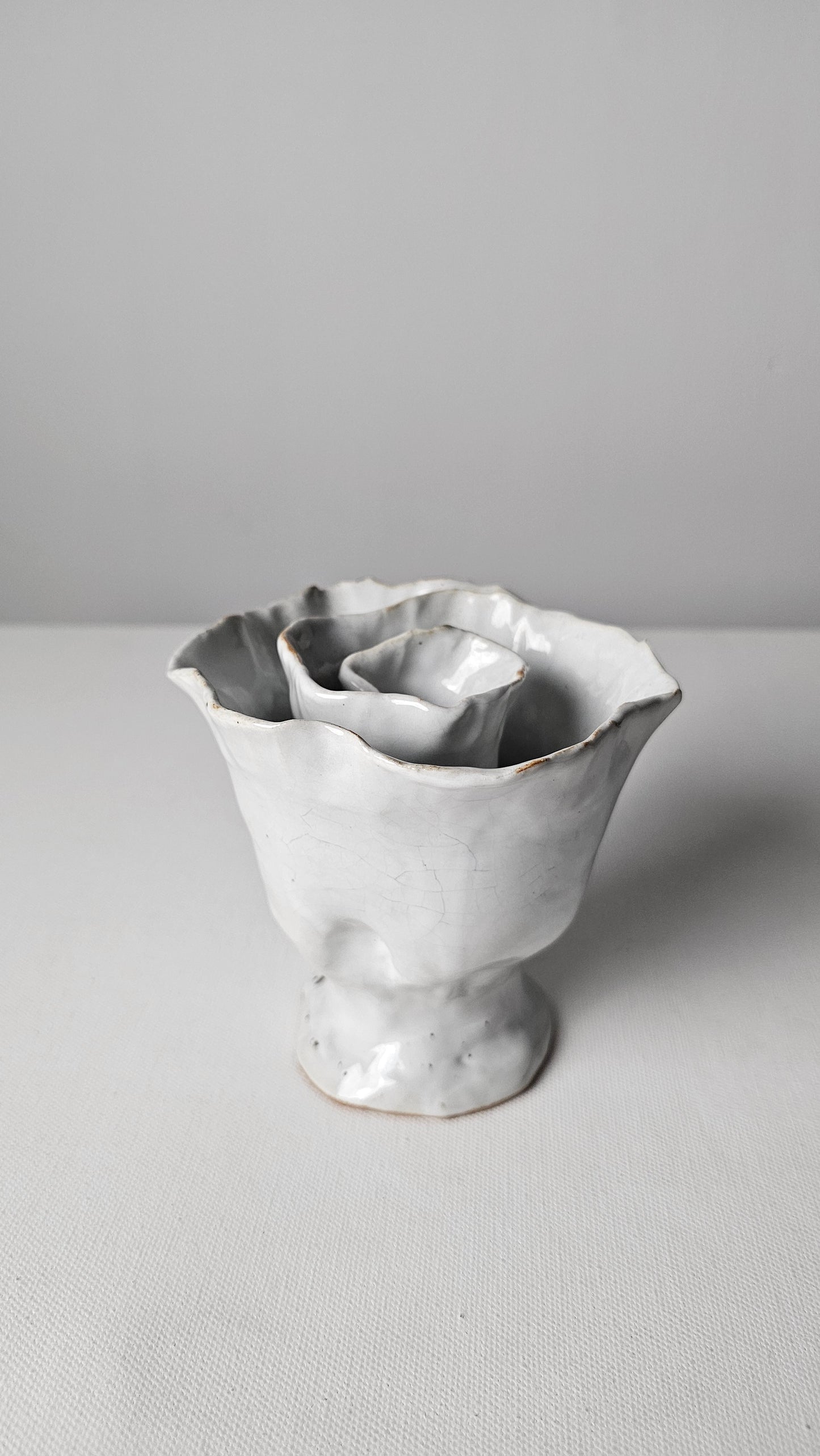 White Rose Tide