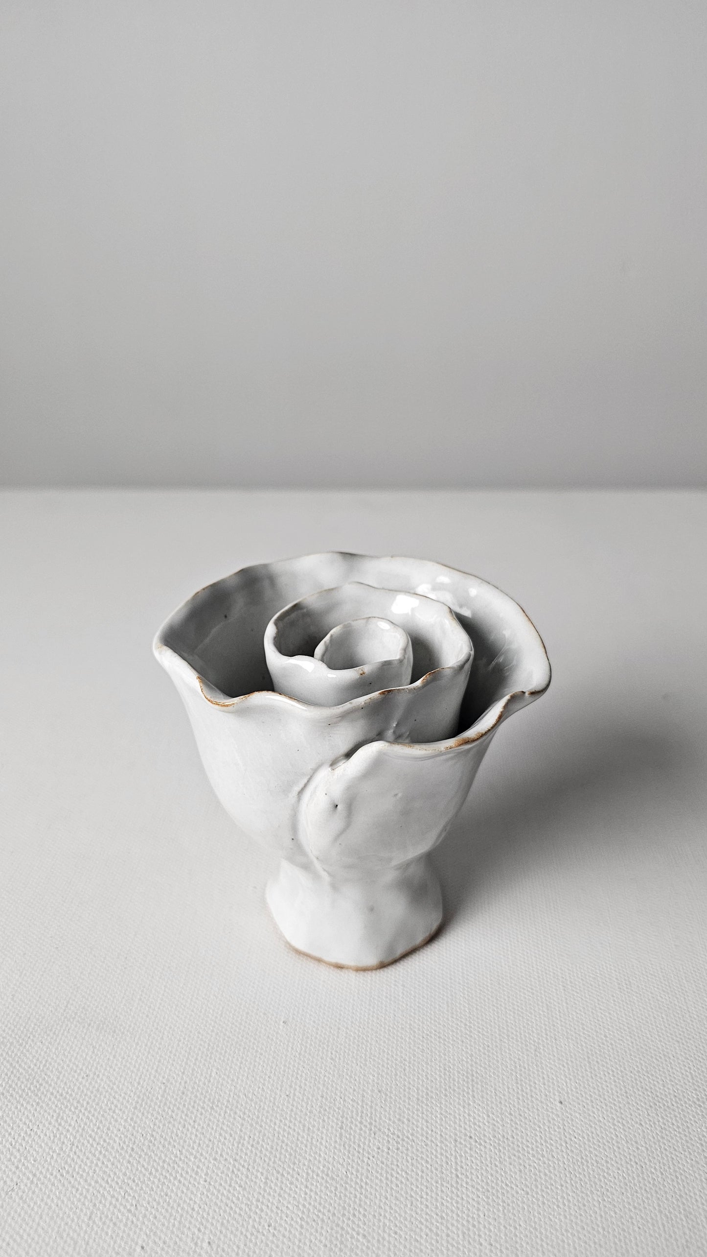 White Rose Tide