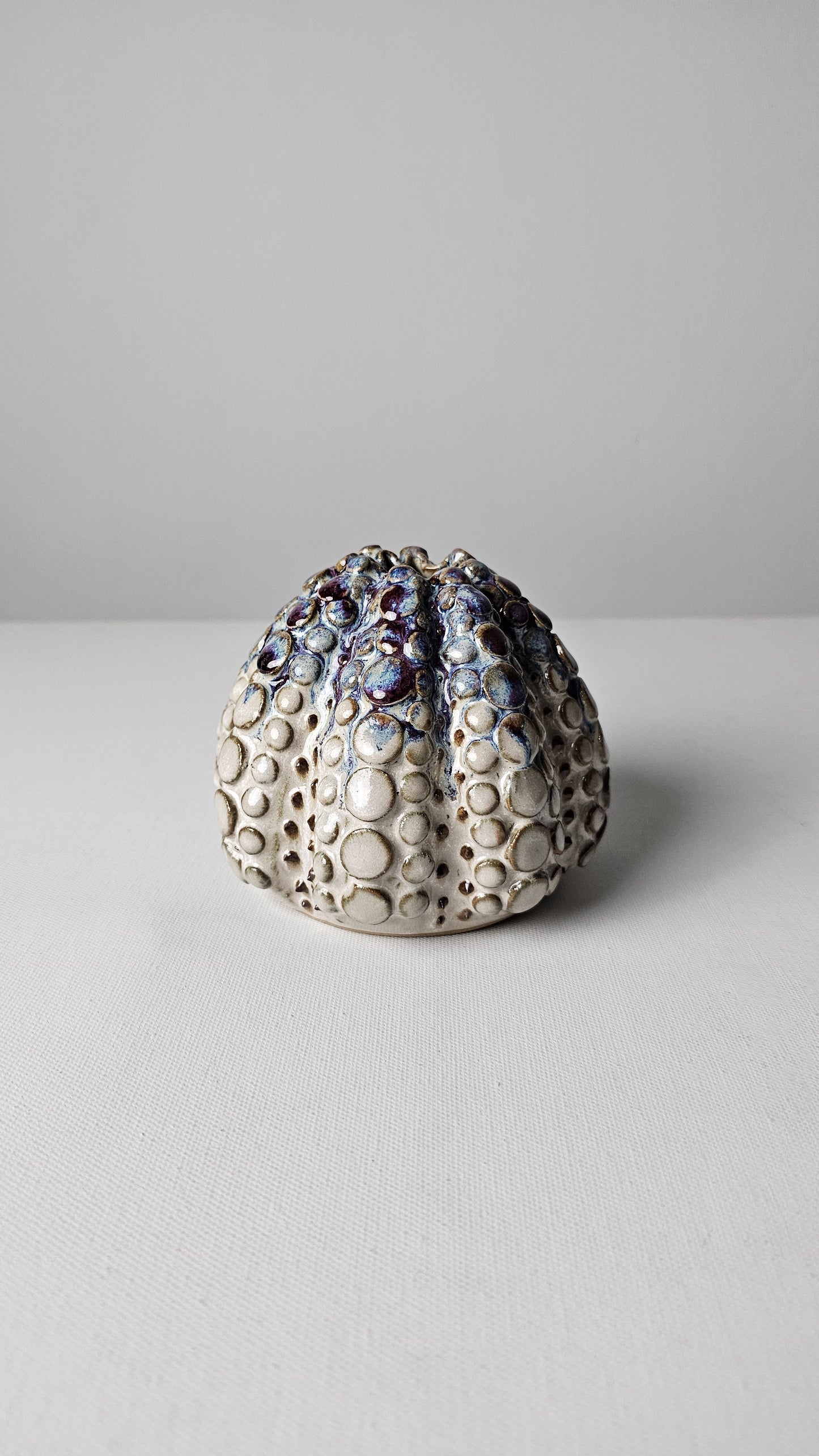 Urchin Bud